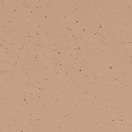 Forbo Marmoleum Solid Cocoa 3592 Salted Camel Linoleum Sheet