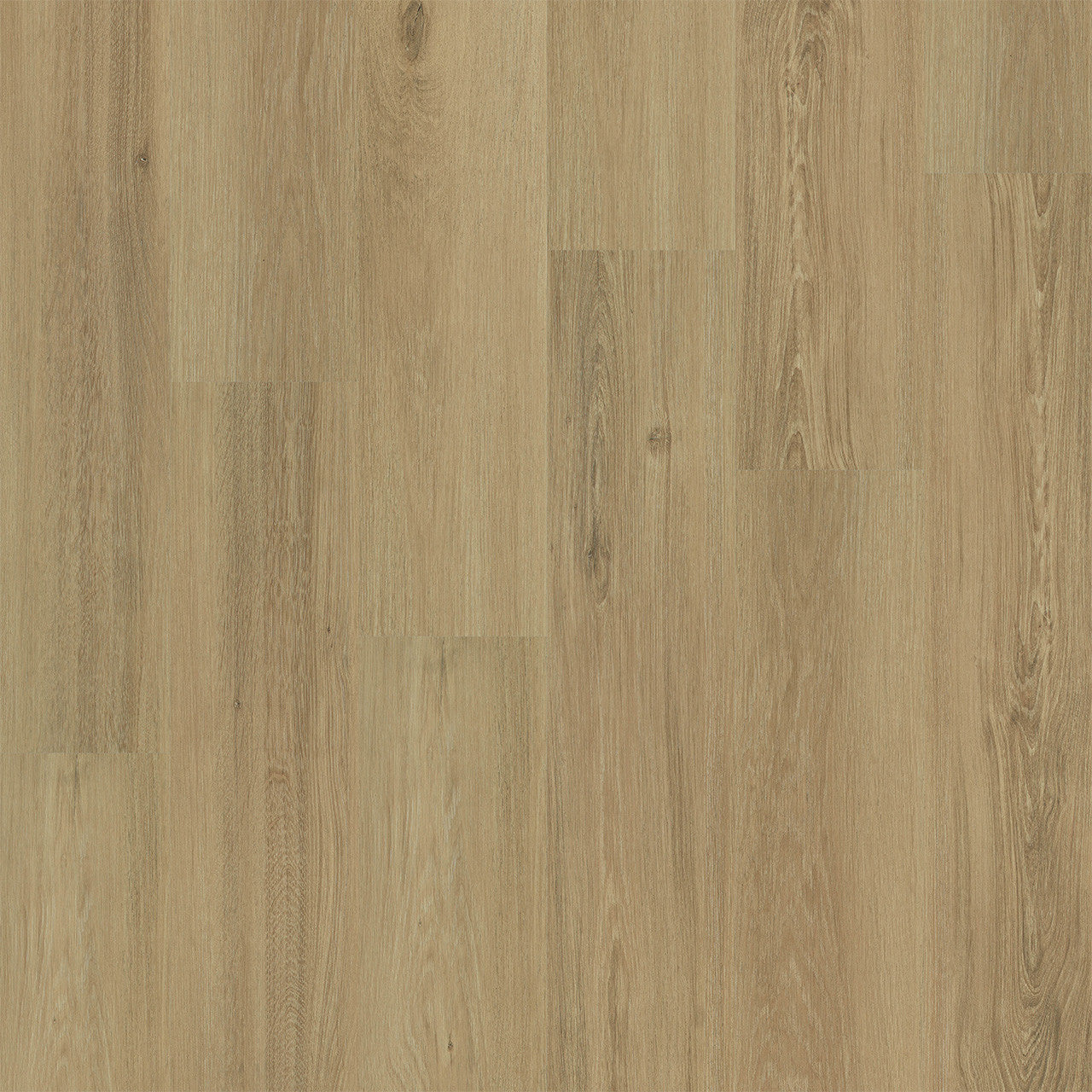 Engineered Floors Sofia Laminate L060-6605 PureGrain Renew Restore 9" x 60" (19.38 SF/Box)