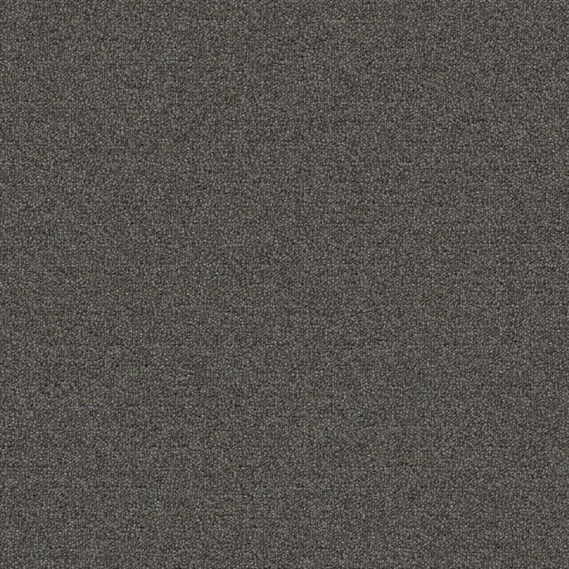 Aladdin Scholarship II Carpet Tile QA101-679 Ironstone 24" x 24"
