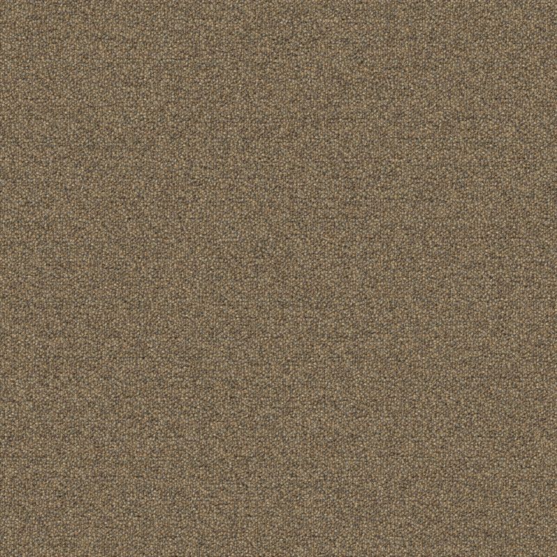 Aladdin Scholarship II Carpet Tile QA101-837 Sienna 24" x 24"