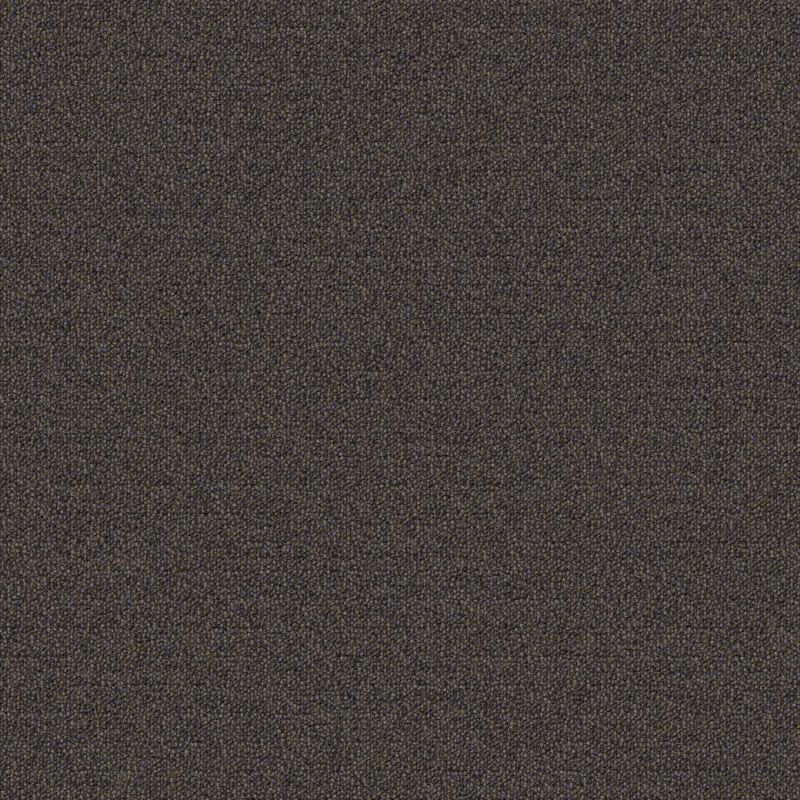 Aladdin Scholarship II Carpet Tile QA101-978 Twilight Shadow 24" x 24"