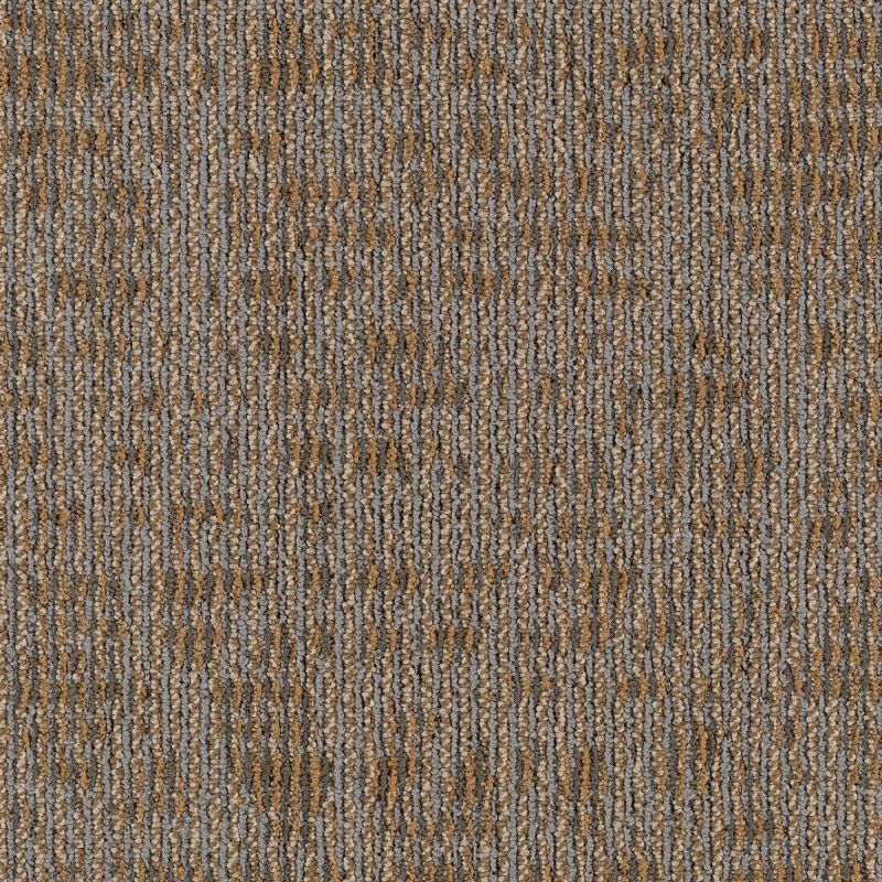 Aladdin Refined Look Carpet Tile 2B55-841 Modernist Vision 24" x 24"