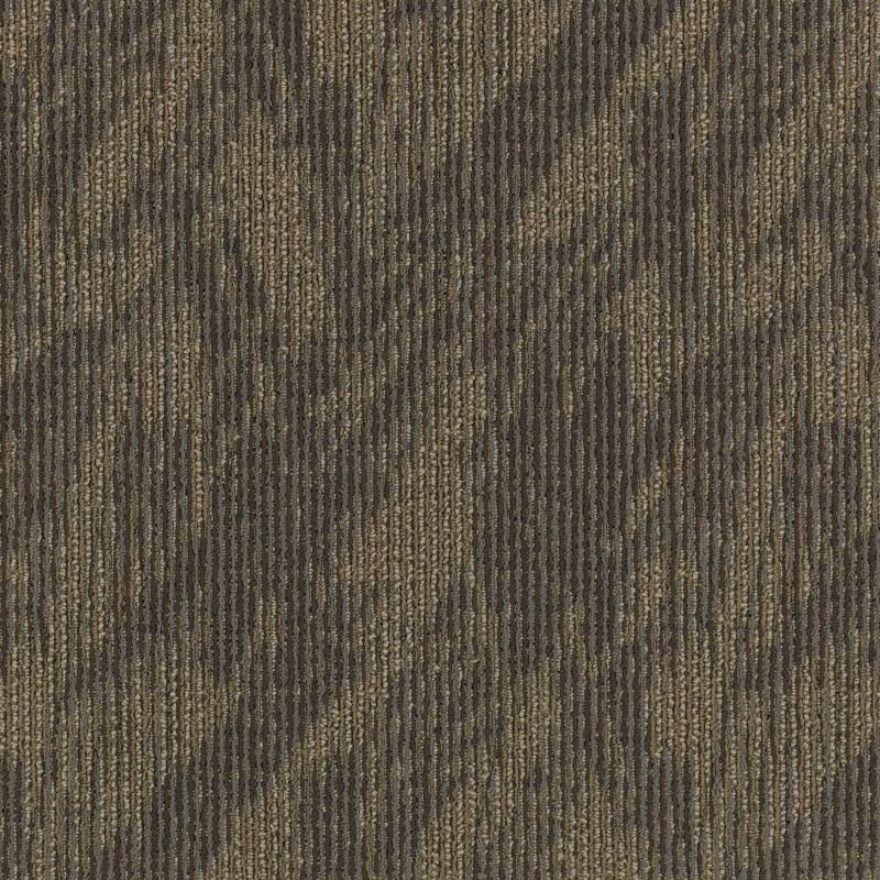 Aladdin Total Visual Carpet Tile 2B59-878 Statement Maker 24" x 24"