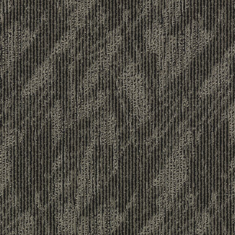 Aladdin Total Visual Carpet Tile 2B59-979 Fantastic Look 24" x 24"