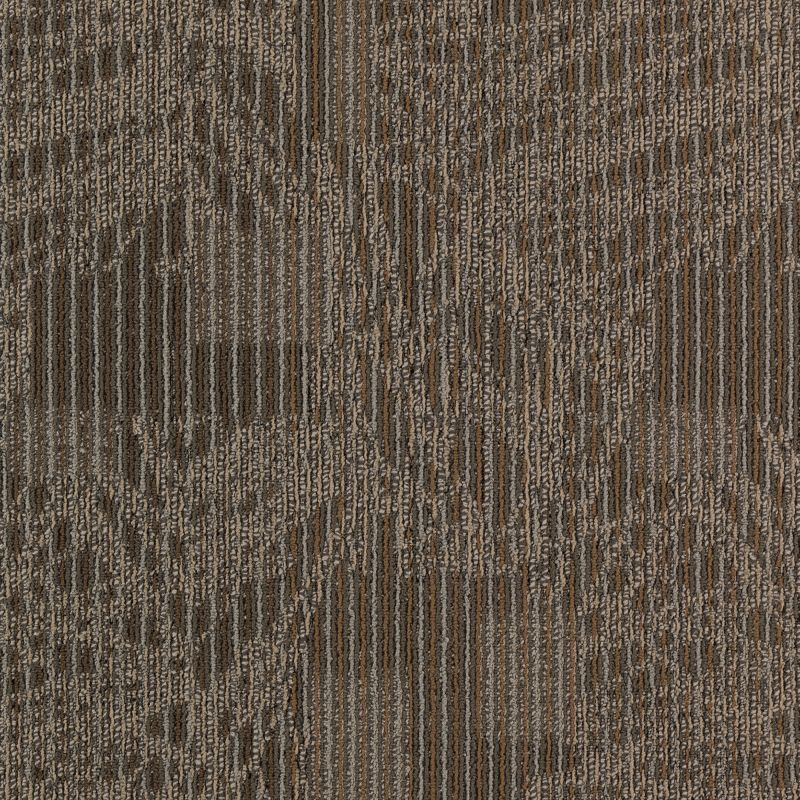 Aladdin Transforming Spaces Carpet Tile 2B80-858 Individual Twist 24" x 24"