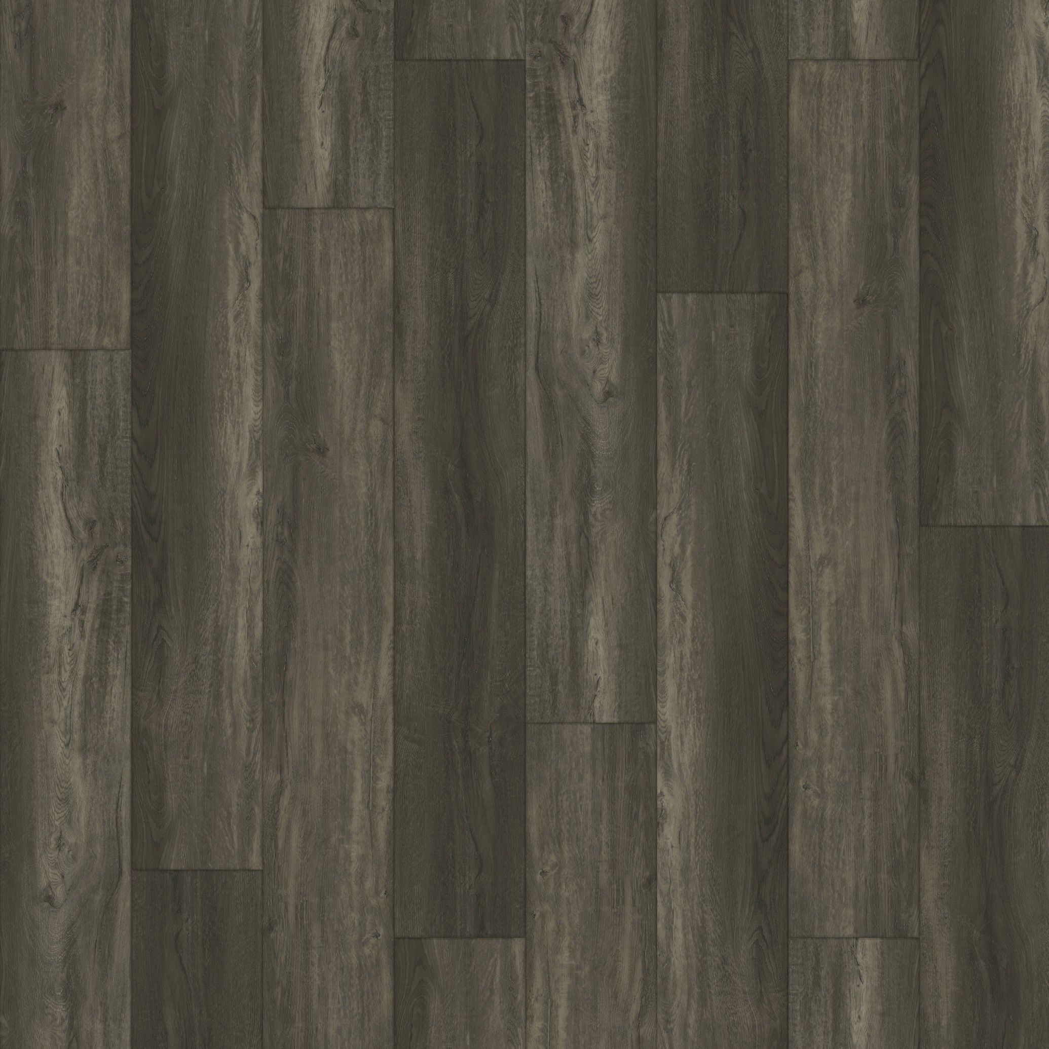 Paradigm Flooring Insignia Shark Bay PI20016 WPC Luxury Vinyl Plank 9" x 60"