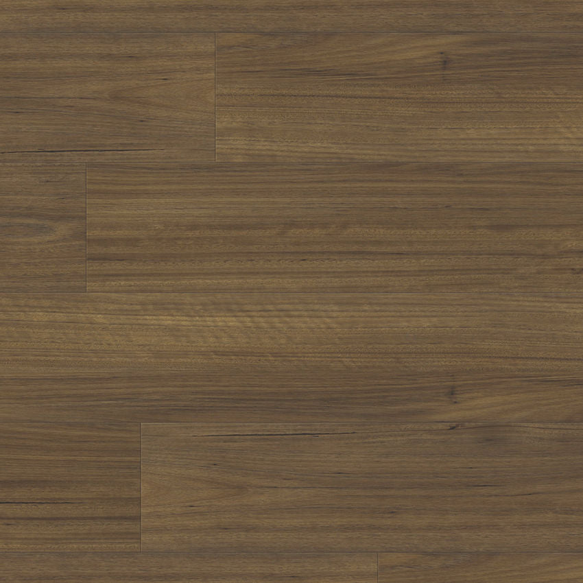Paradigm Flooring Performer Plus Finch PPPSPC2021 SPC Luxury Vinyl Plank 9” x 60" (22.38 SF/Box)