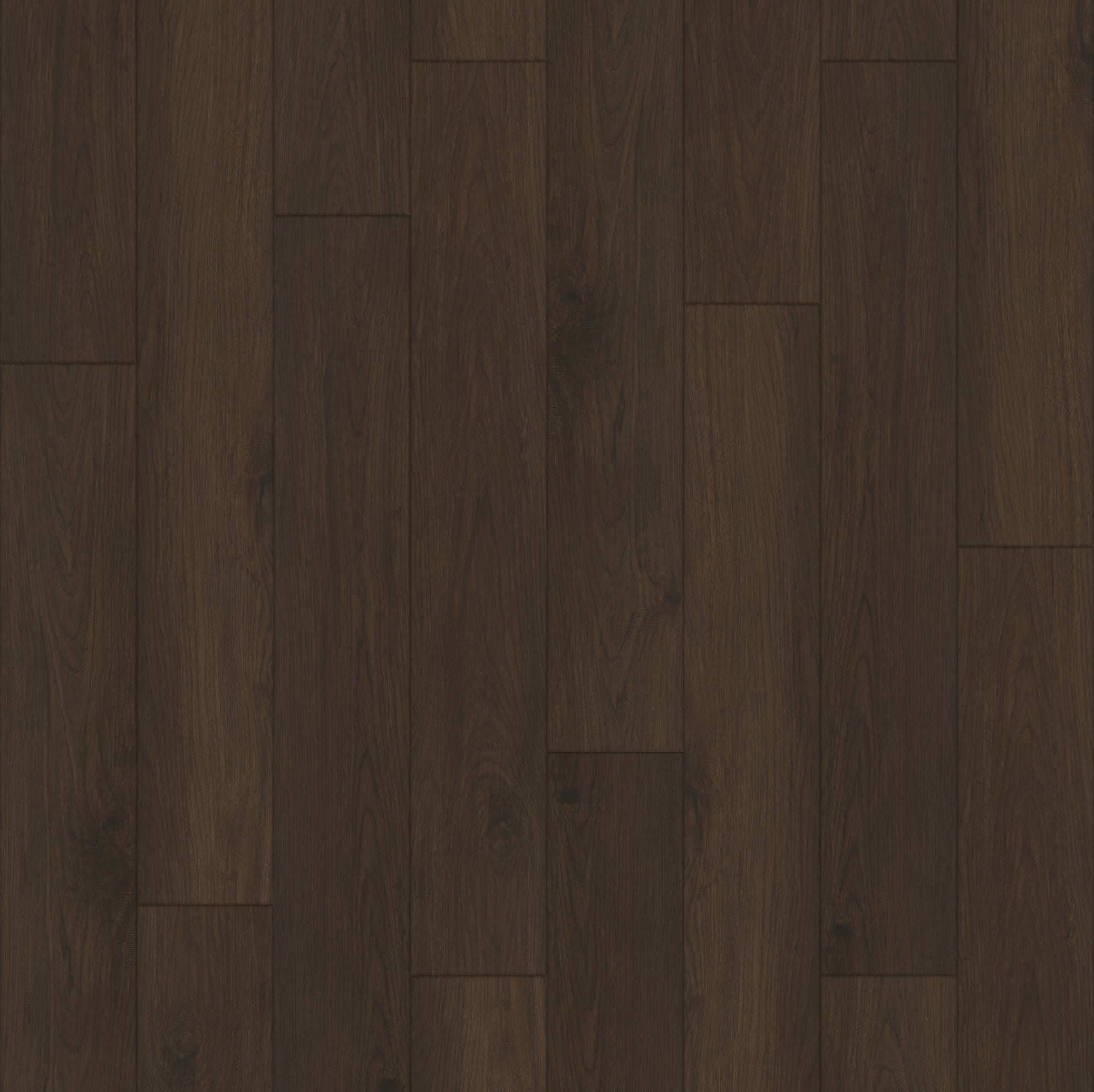 Paradigm Flooring Insignia Tofino PI20030 WPC Luxury Vinyl Plank 9" x 60"