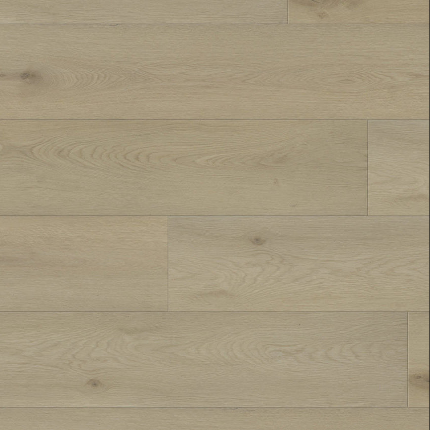 Paradigm Flooring Performer Plus Warbler PPPSPC2028 SPC Luxury Vinyl Plank 9” x 60" (22.38 SF/Box)