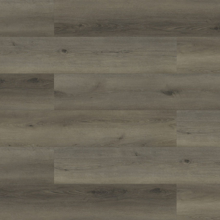 Paradigm Flooring Performer Plus Hummingbird PPPSPC2006 SPC Luxury Vinyl Plank 9” x 60" (22.38 SF/Box)