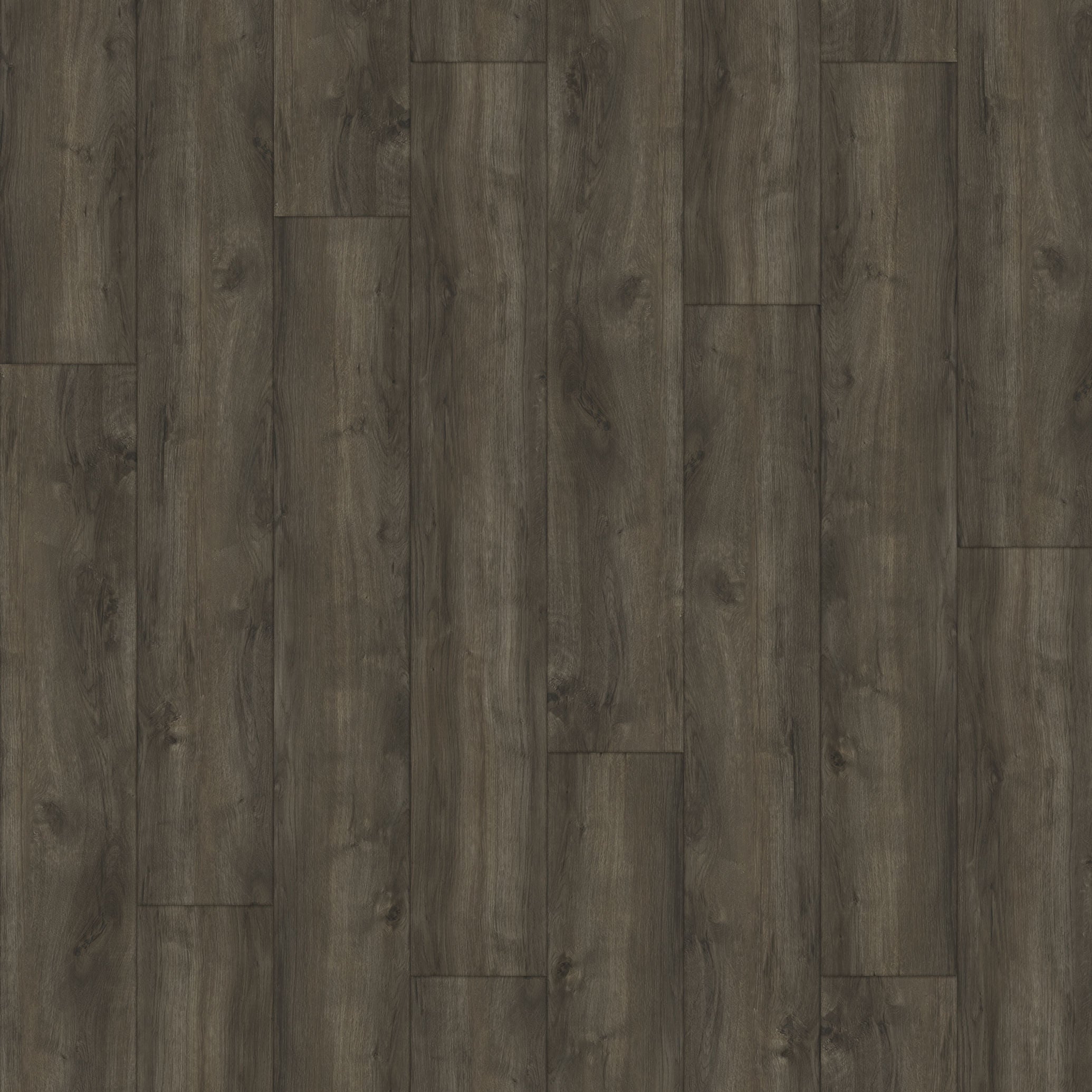 Paradigm Flooring Insignia Amazon PI20020 WPC Luxury Vinyl Plank 9" x 60"