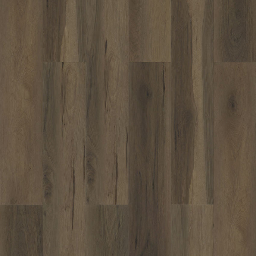 Paradigm Flooring Performer Plus Sparrow PPPSPC2017 SPC Luxury Vinyl Plank 9” x 60" (22.38 SF/Box)