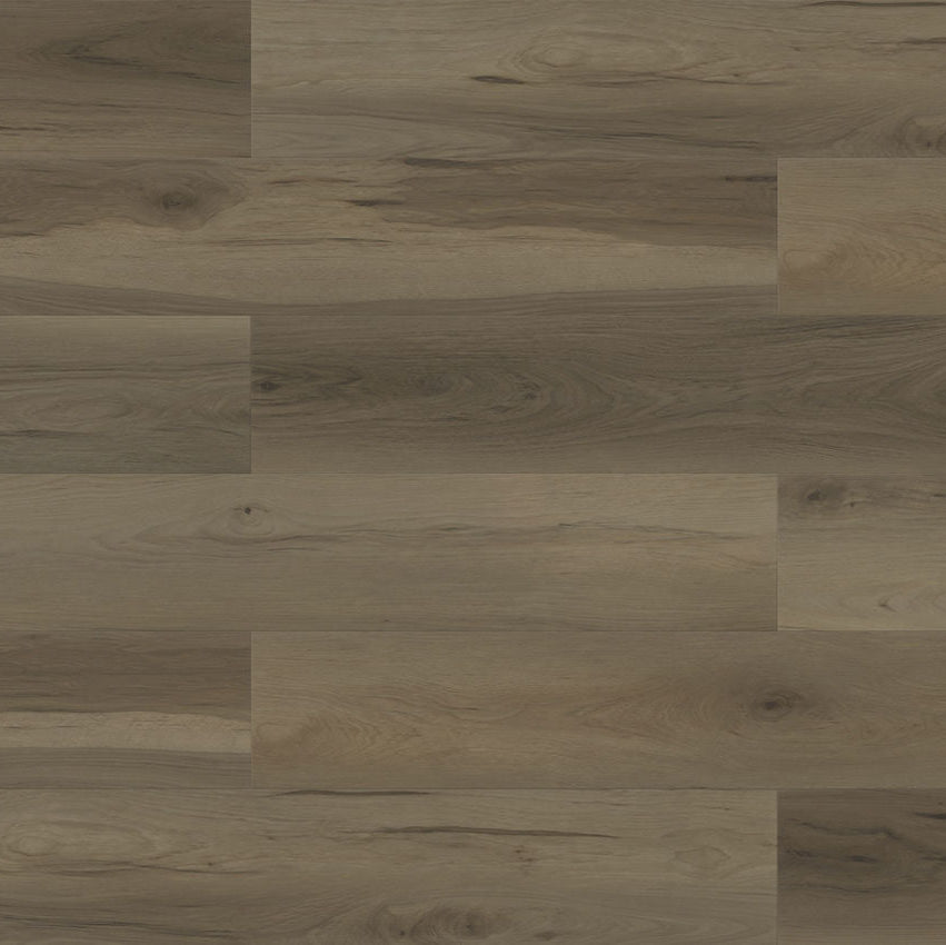 Paradigm Flooring Performer Plus Toucan PPPSPC2008 SPC Luxury Vinyl Plank 9” x 60" (22.38 SF/Box)