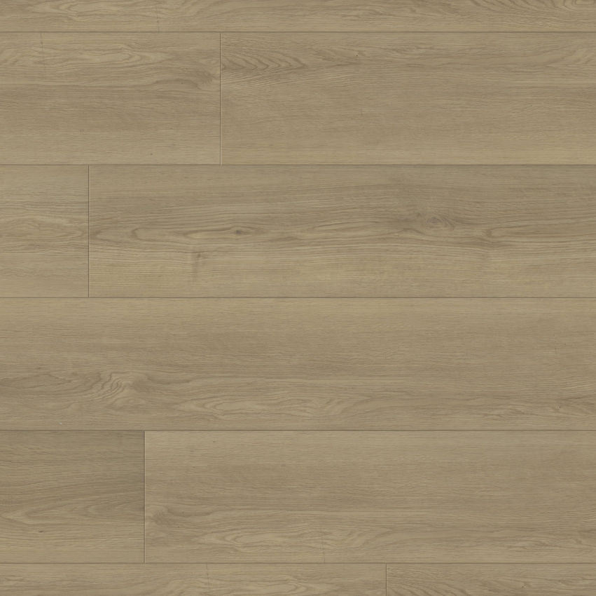 Paradigm Flooring Performer Plus Swallow PPPSPC2026 SPC Luxury Vinyl Plank 9” x 60" (22.38 SF/Box)