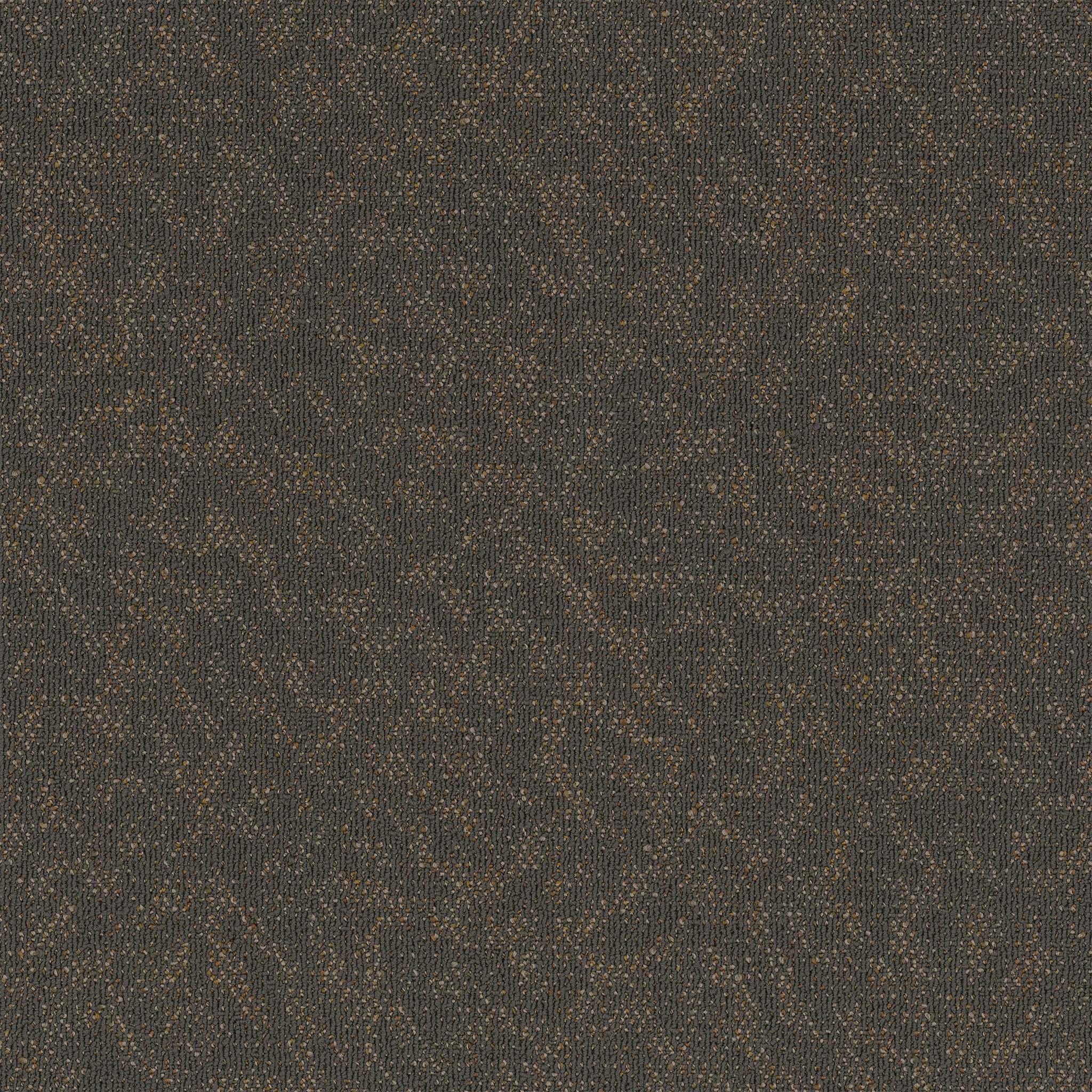 Pentz Carpet Animated 7040T-2128 Eager 24" X 24"