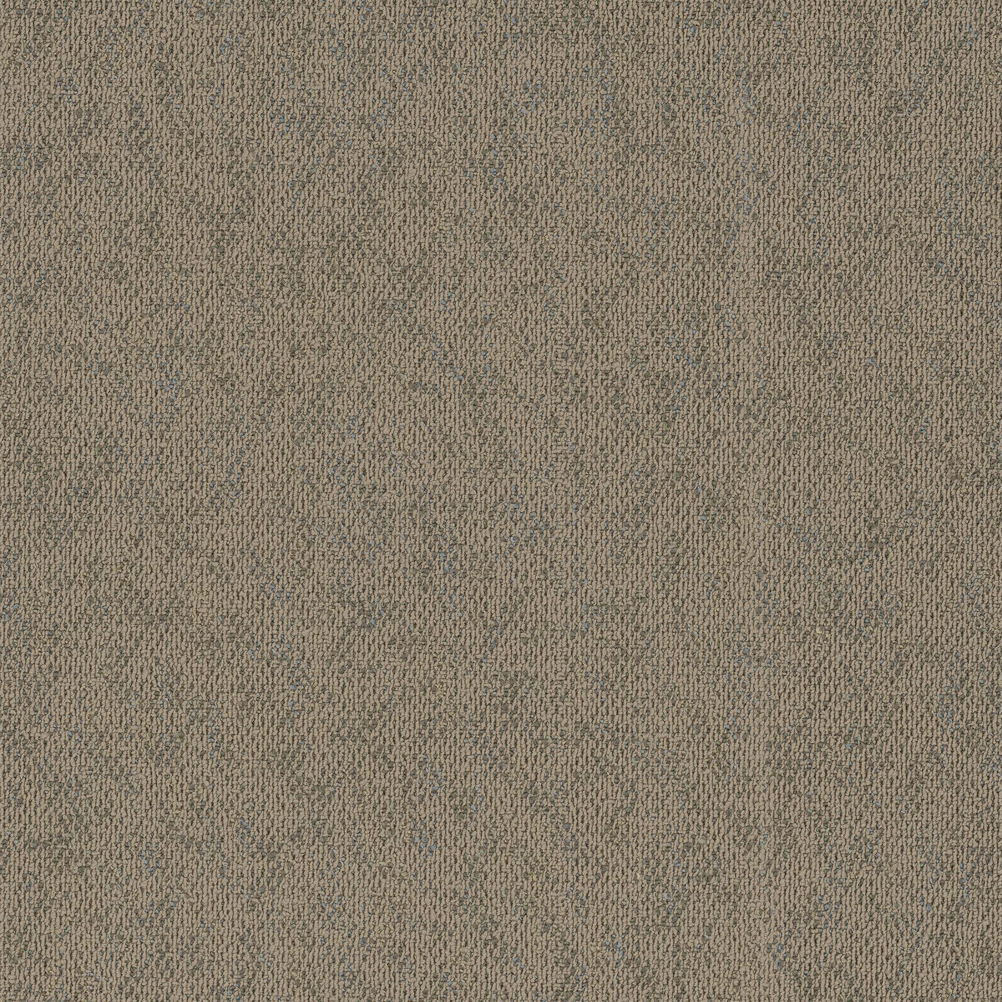Pentz Carpet Animated 7040T-2129 Bouncy 24" X 24"