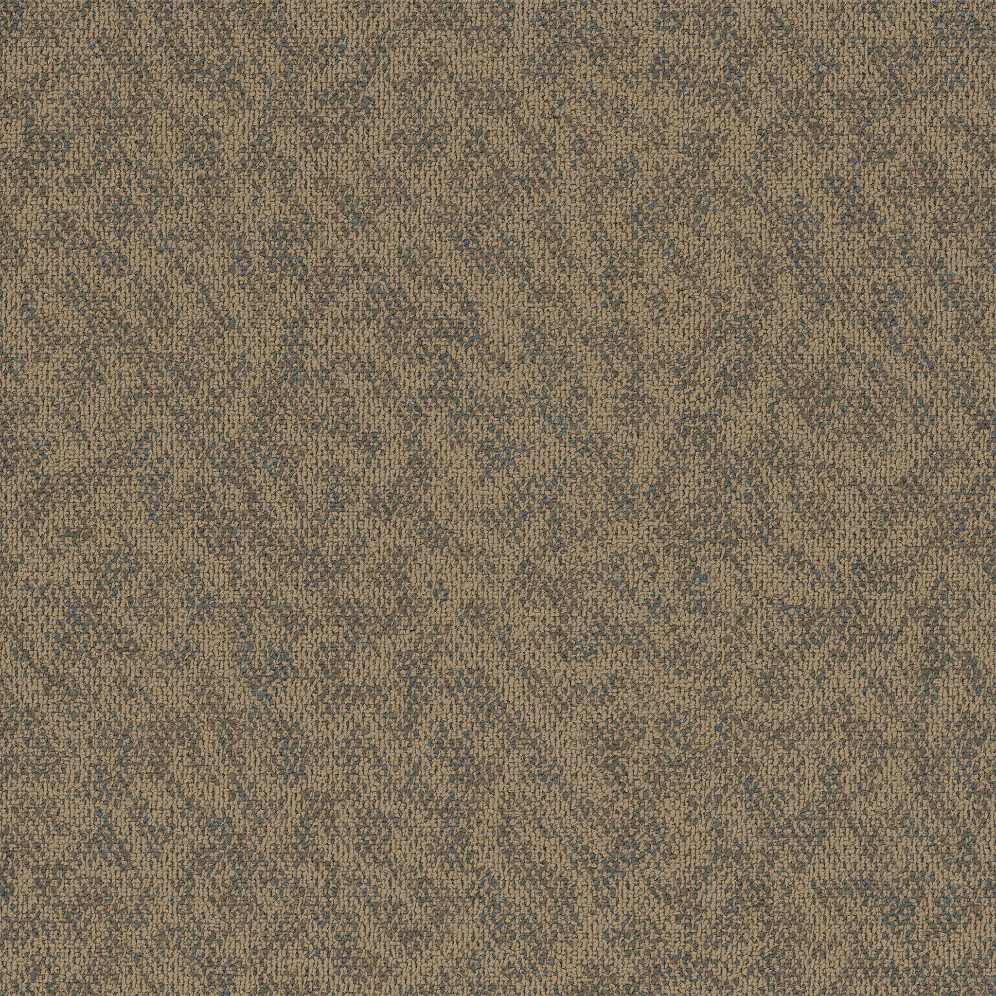 Pentz Carpet Animated 7040T-2130 Buoyant 24" X 24"