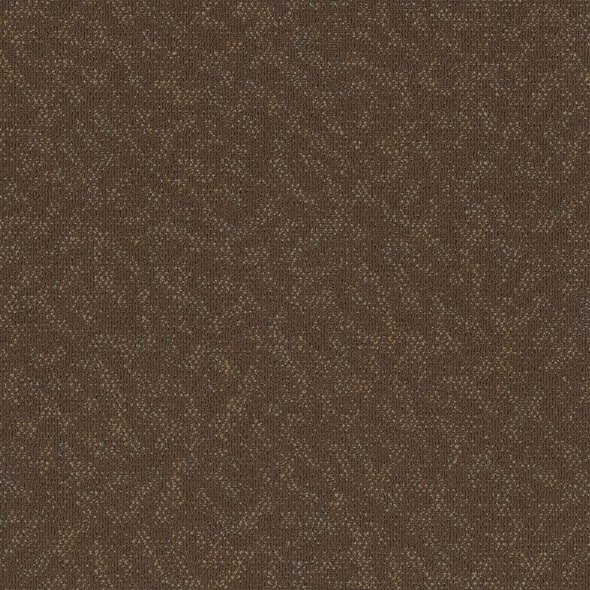 Pentz Carpet Animated 7040T-2135 Bubbly 24" X 24"
