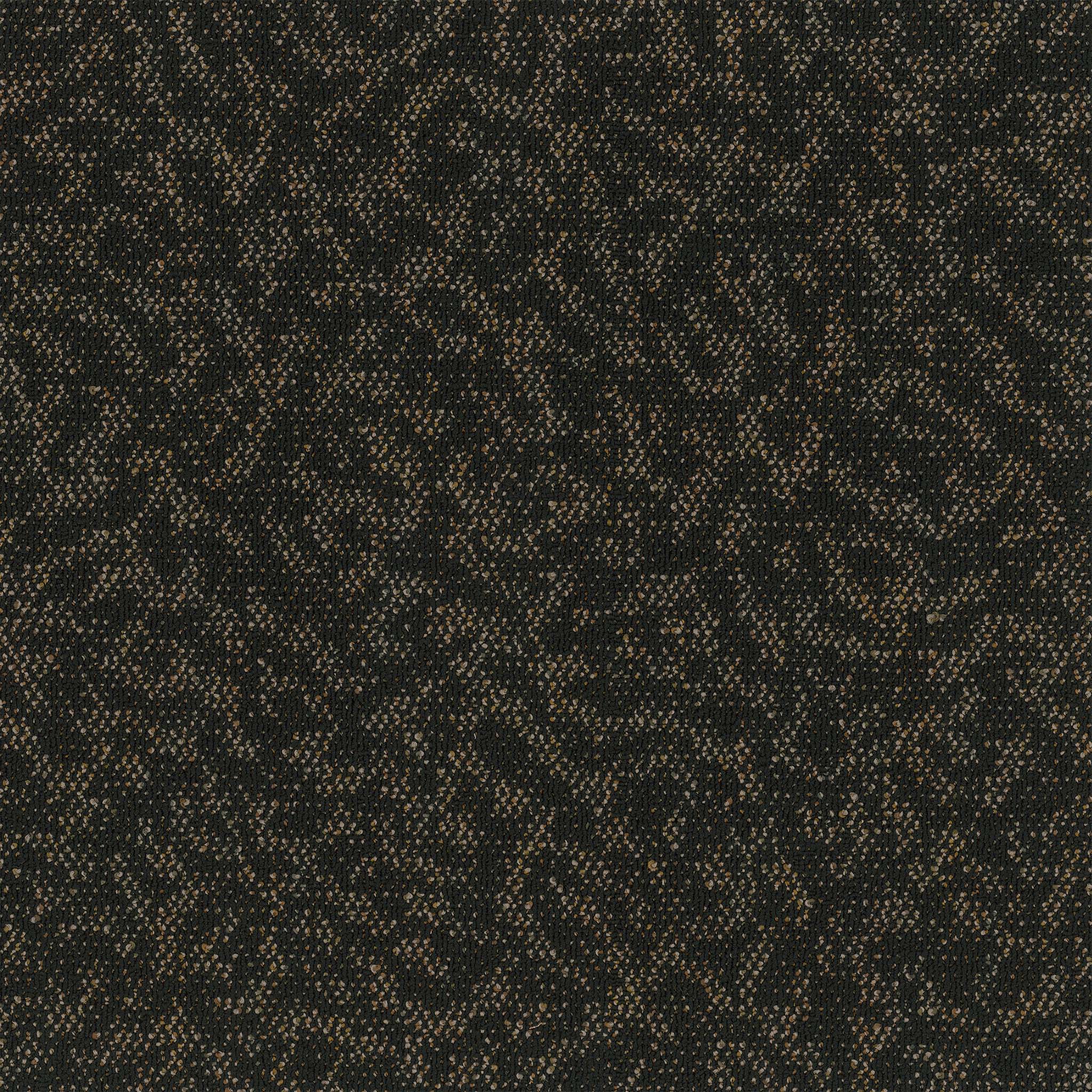 Pentz Carpet Animated 7040T-2136 Vigorous 24" X 24"