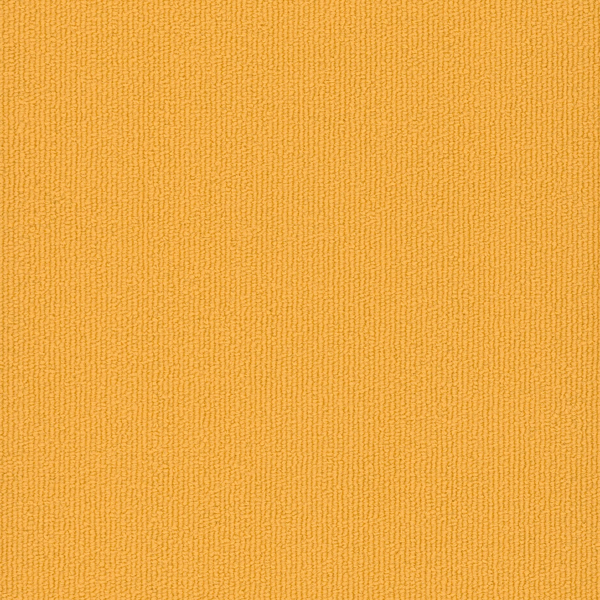 Pentz Carpet Colorburst Plank 7049P-3143 Medallion 12" X 48"