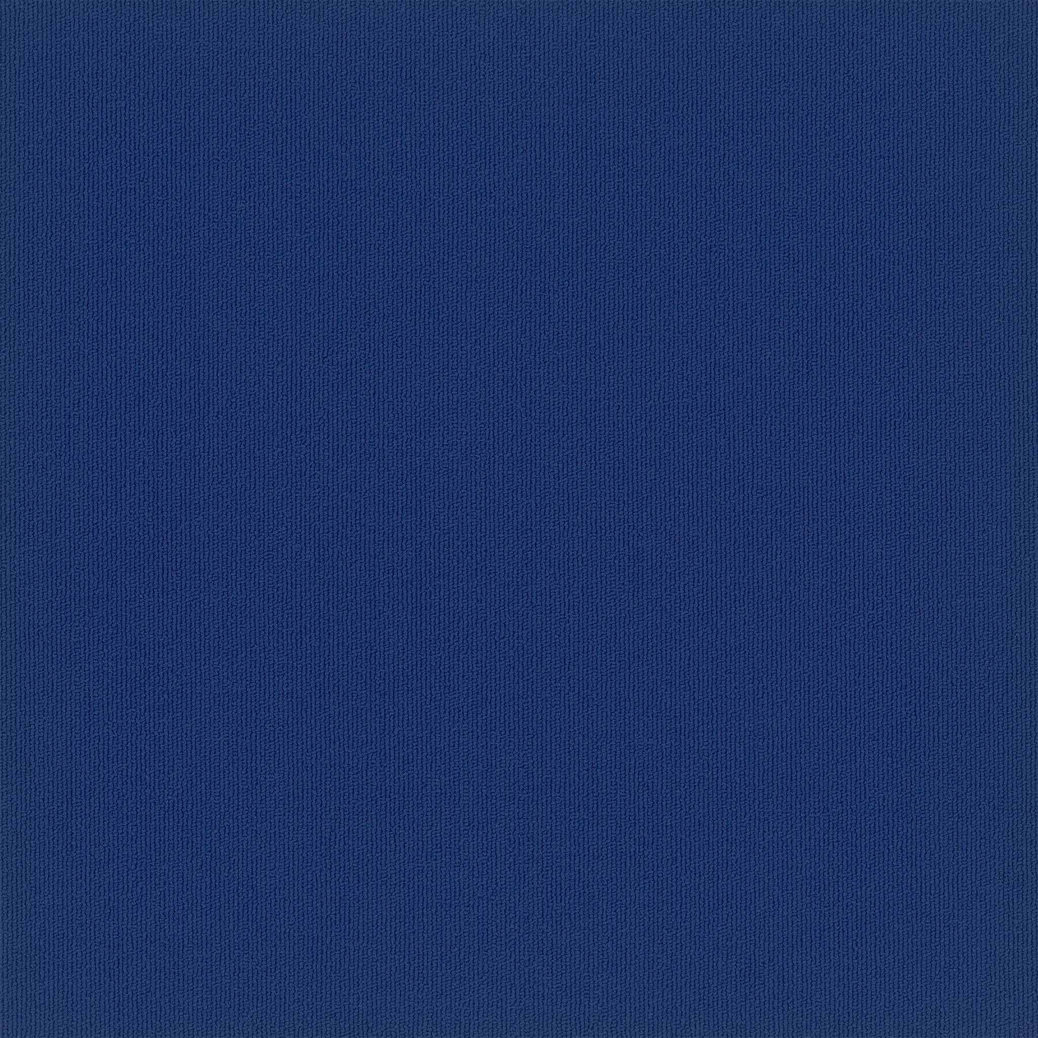 Pentz Carpet Colorburst 7049T-3135 Indigo 24" X 24"