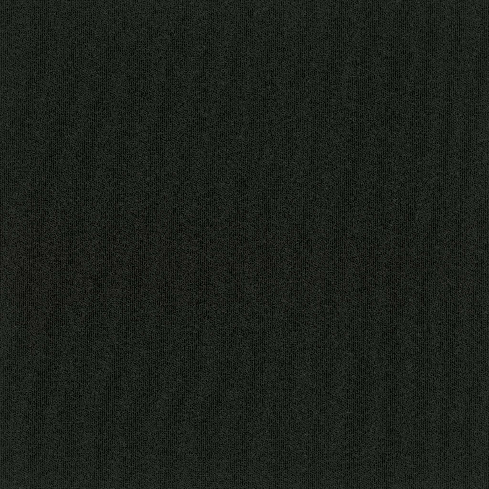 Pentz Carpet Colorburst 7049T-3137 Midnight 24" X 24"