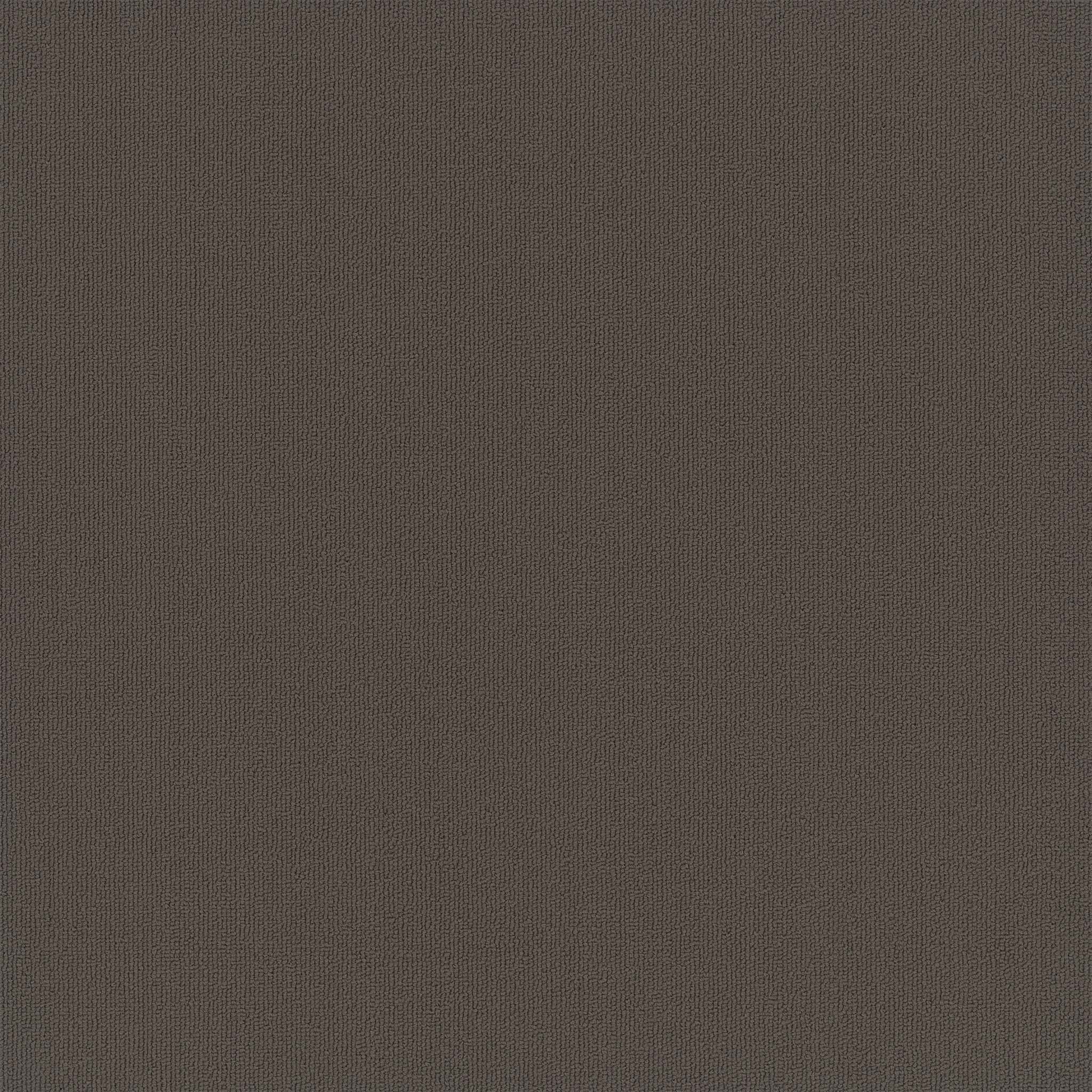 Pentz Carpet Colorburst 7049T-3140 Carob 24" X 24"