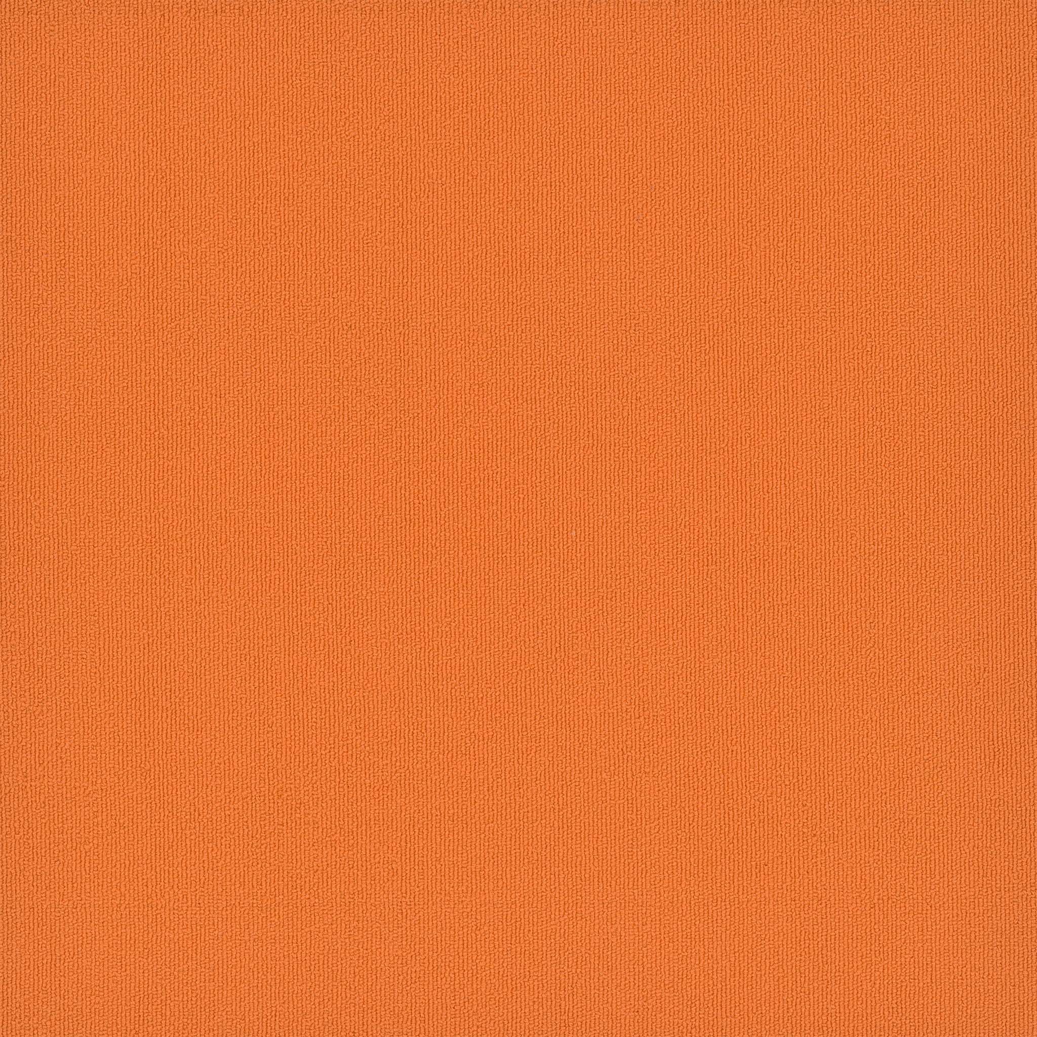 Pentz Carpet Colorburst 7049T-3142 Sunburst 24" X 24"