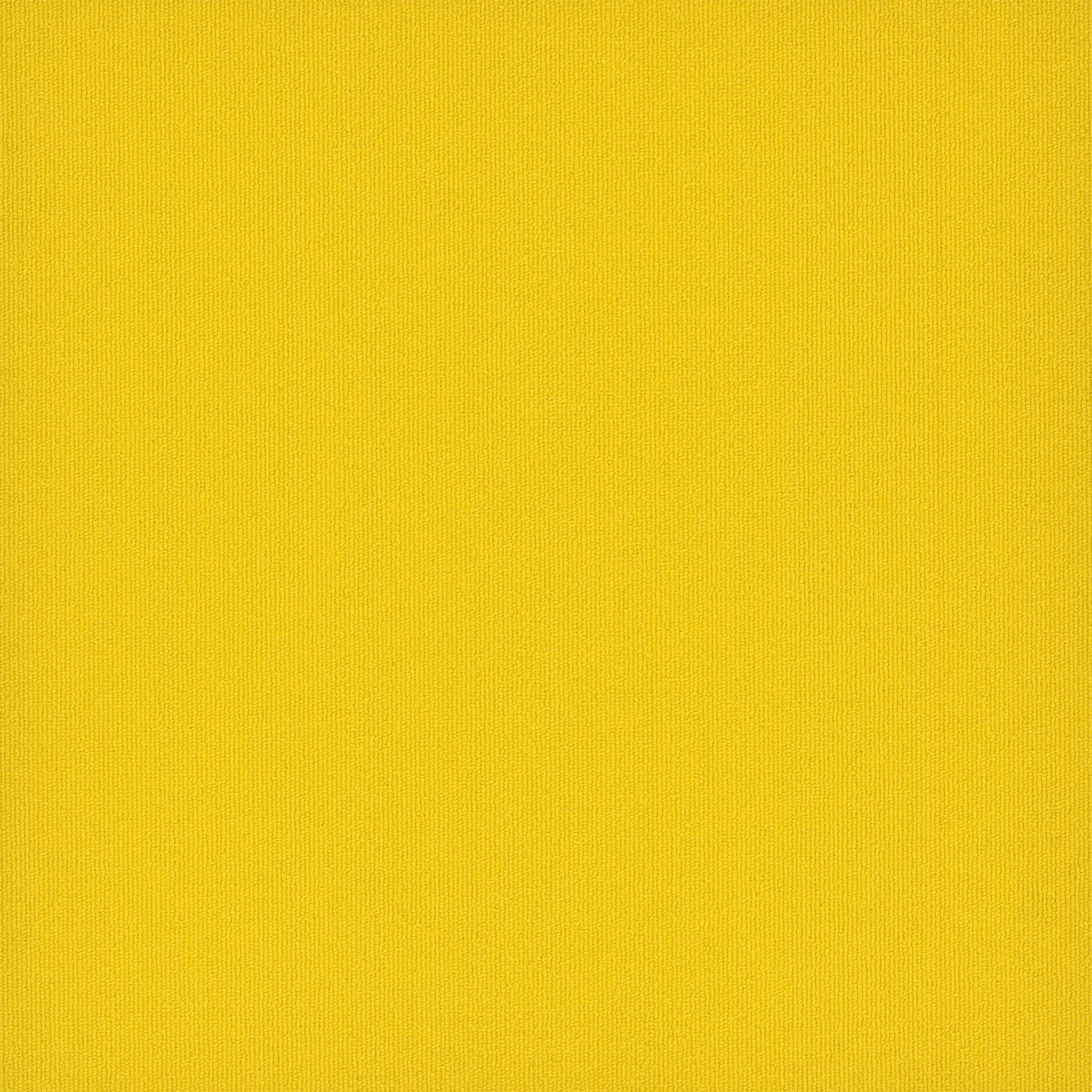 Pentz Carpet Colorburst 7049T-3144 Cyber 24" X 24"