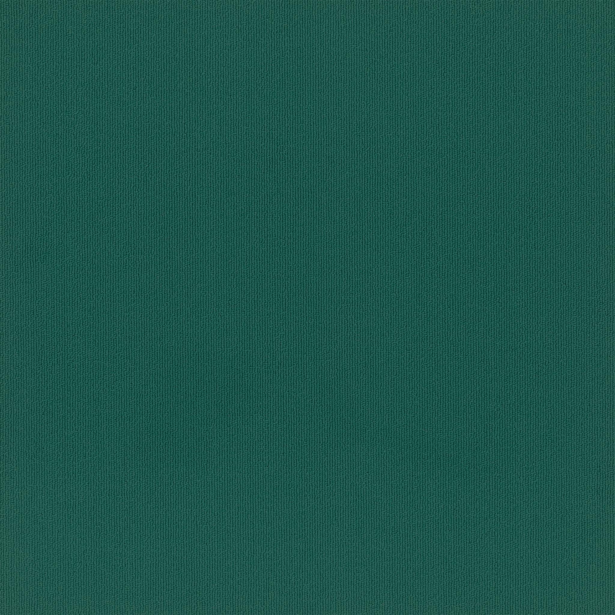 Pentz Carpet Colorburst 7049T-3145 Tropic 24" X 24"