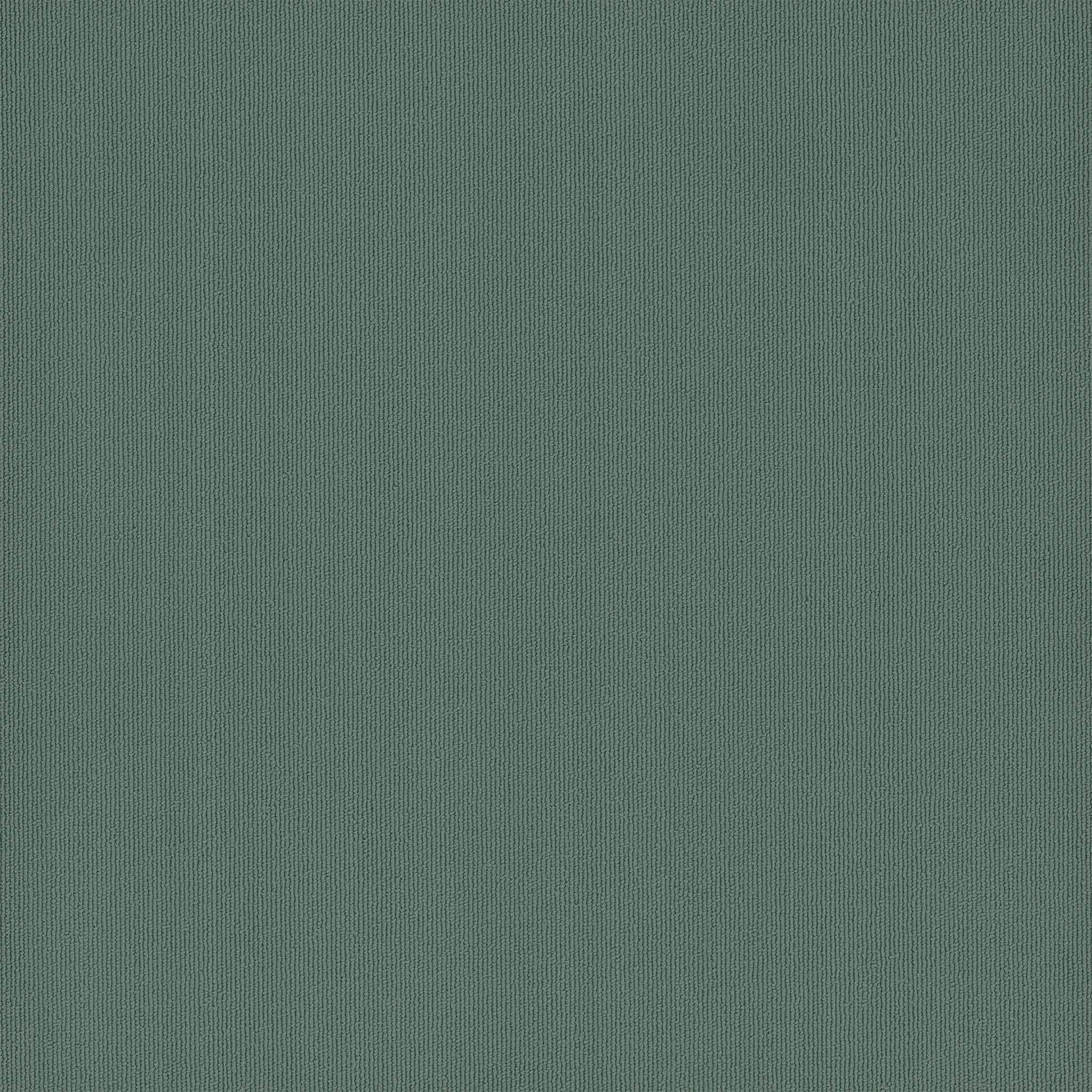 Pentz Carpet Colorburst 7049T-3146 Cloud 24" X 24"