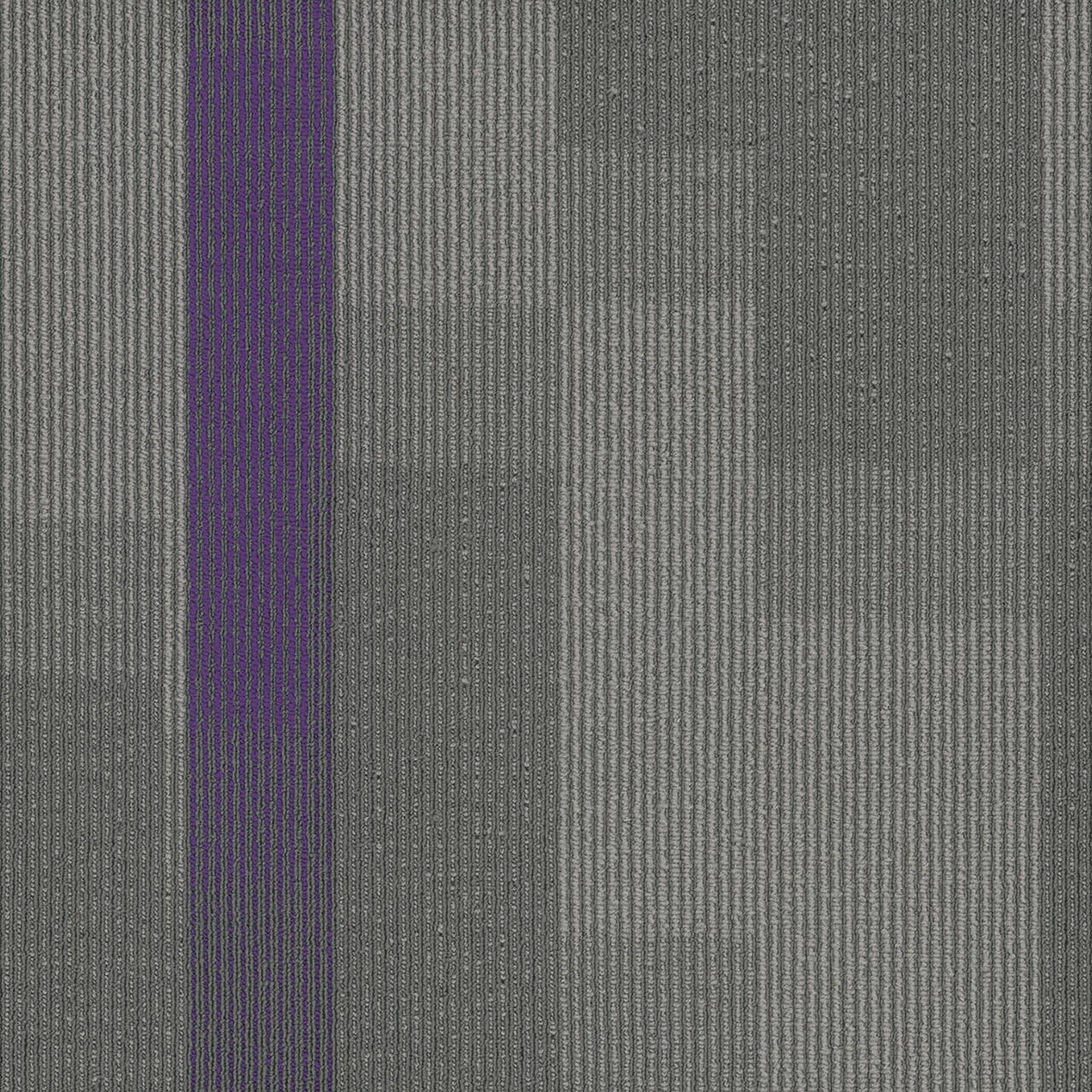 Pentz Carpet Amplify 7053T-3136 Royal Purple 24" X 24"