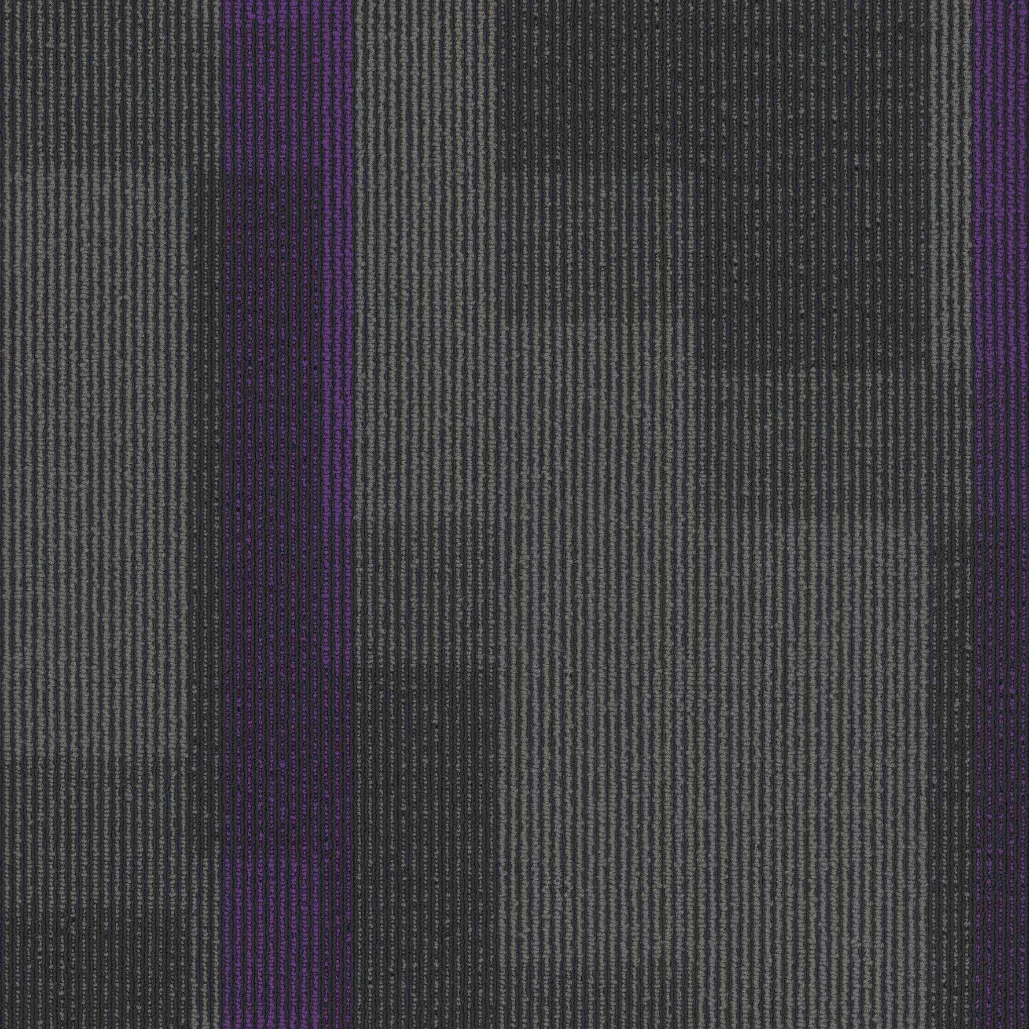 Pentz Carpet Magnify 7054T-3136 Royal Purple 24" X 24"