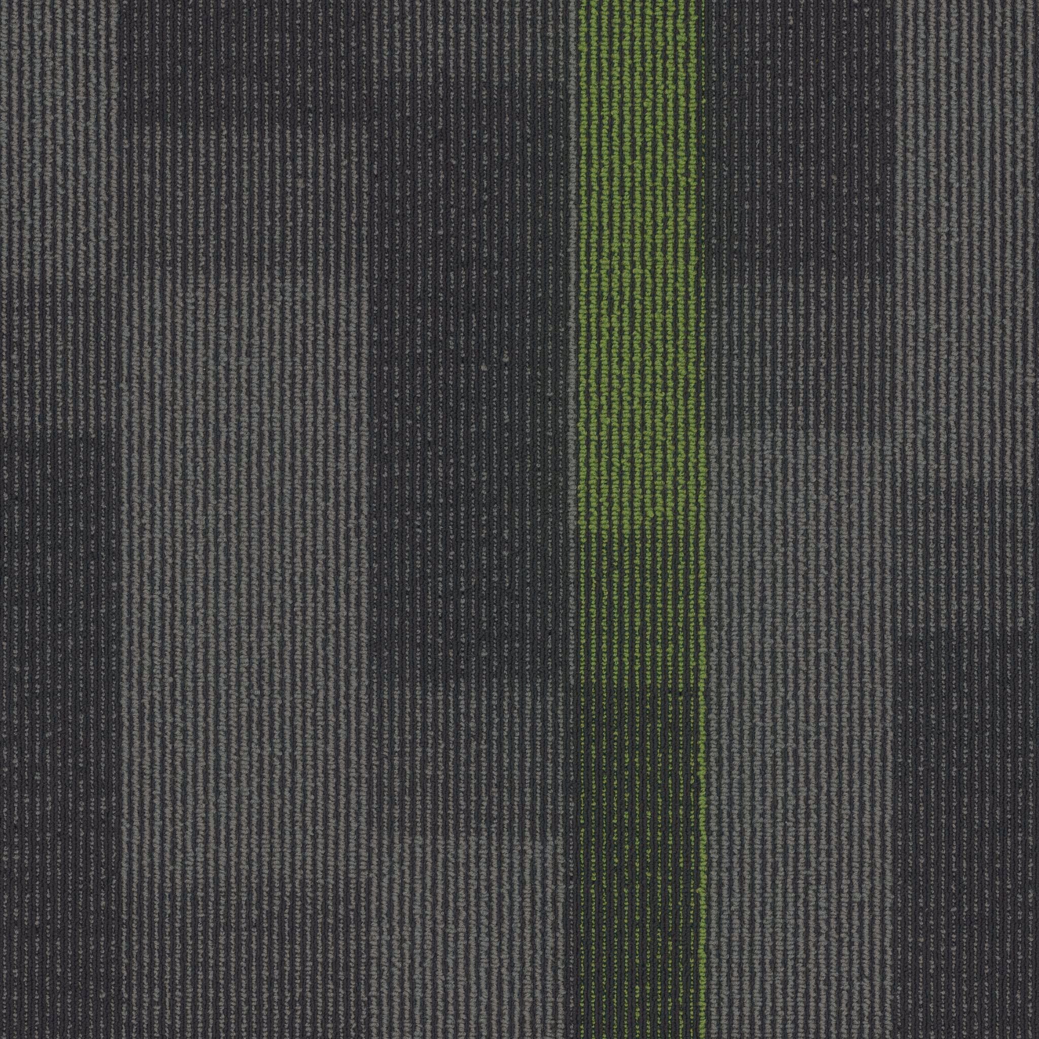 Pentz Carpet Magnify 7054T-3147 Parrot 24" X 24"