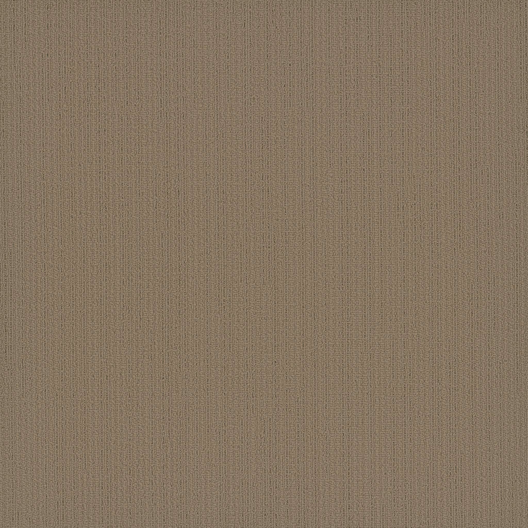 Pentz Carpet Colorpoint 7094T-3207 Parchment 24" X 24"