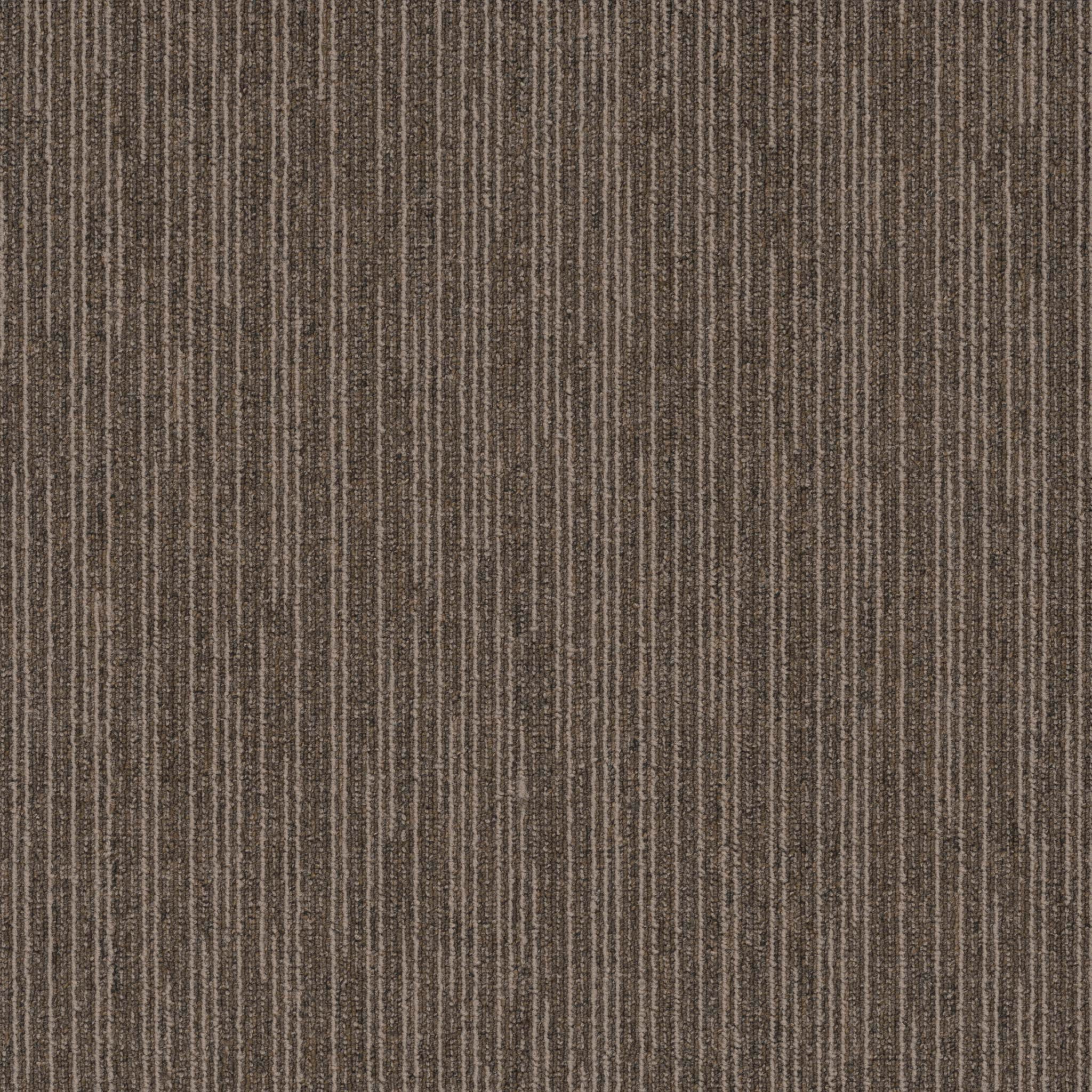 Pentz Carpet Influencer 7095T-3255 Blogger 24" X 24"