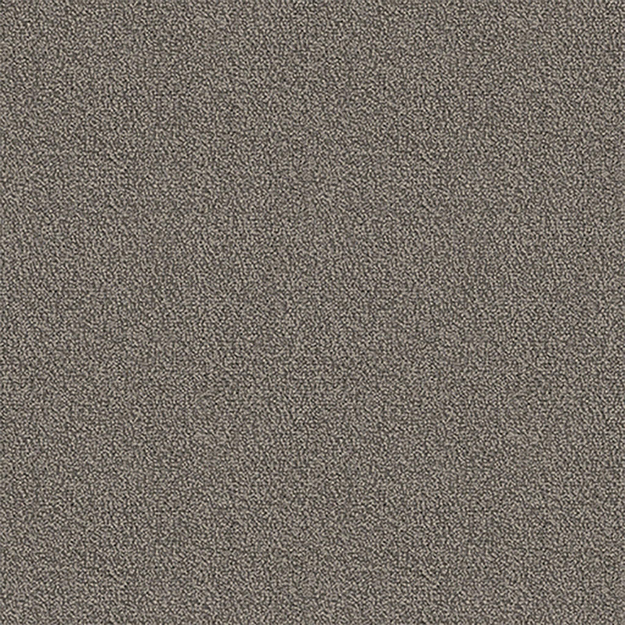 Pentz Carpet Chivalry 7233T-2642 Nobel 24" X 24"