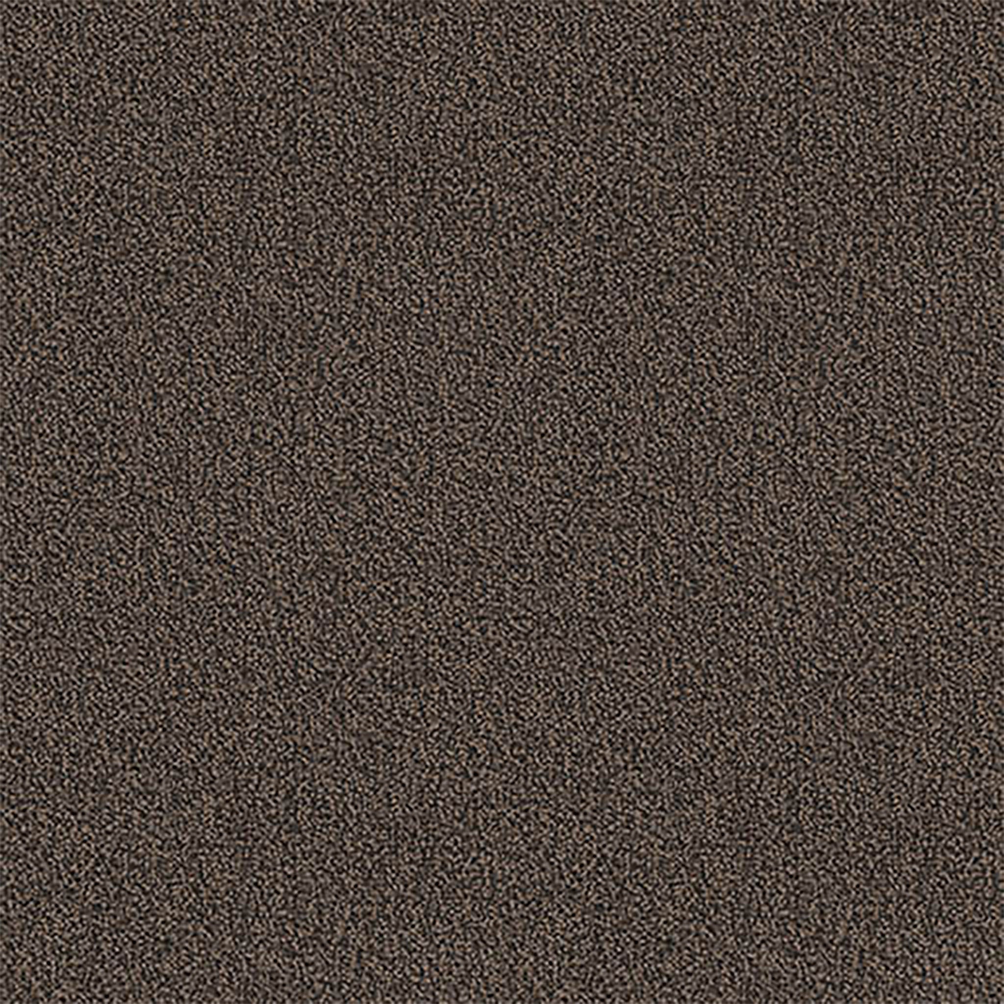 Pentz Carpet Chivalry 7233T-2656 Humanity 24" X 24"