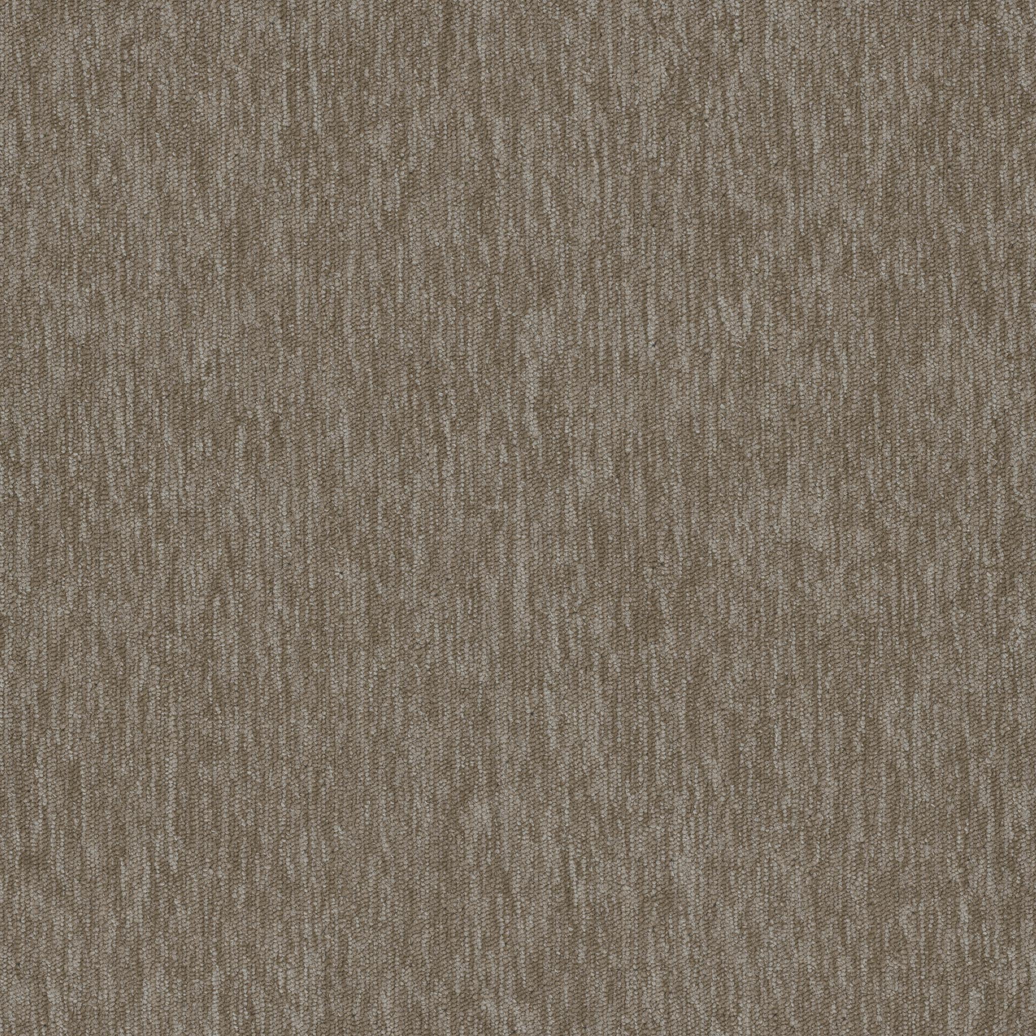 Pentz Carpet Streaming 7237T-2937 Wi-Fi 24" X 24"