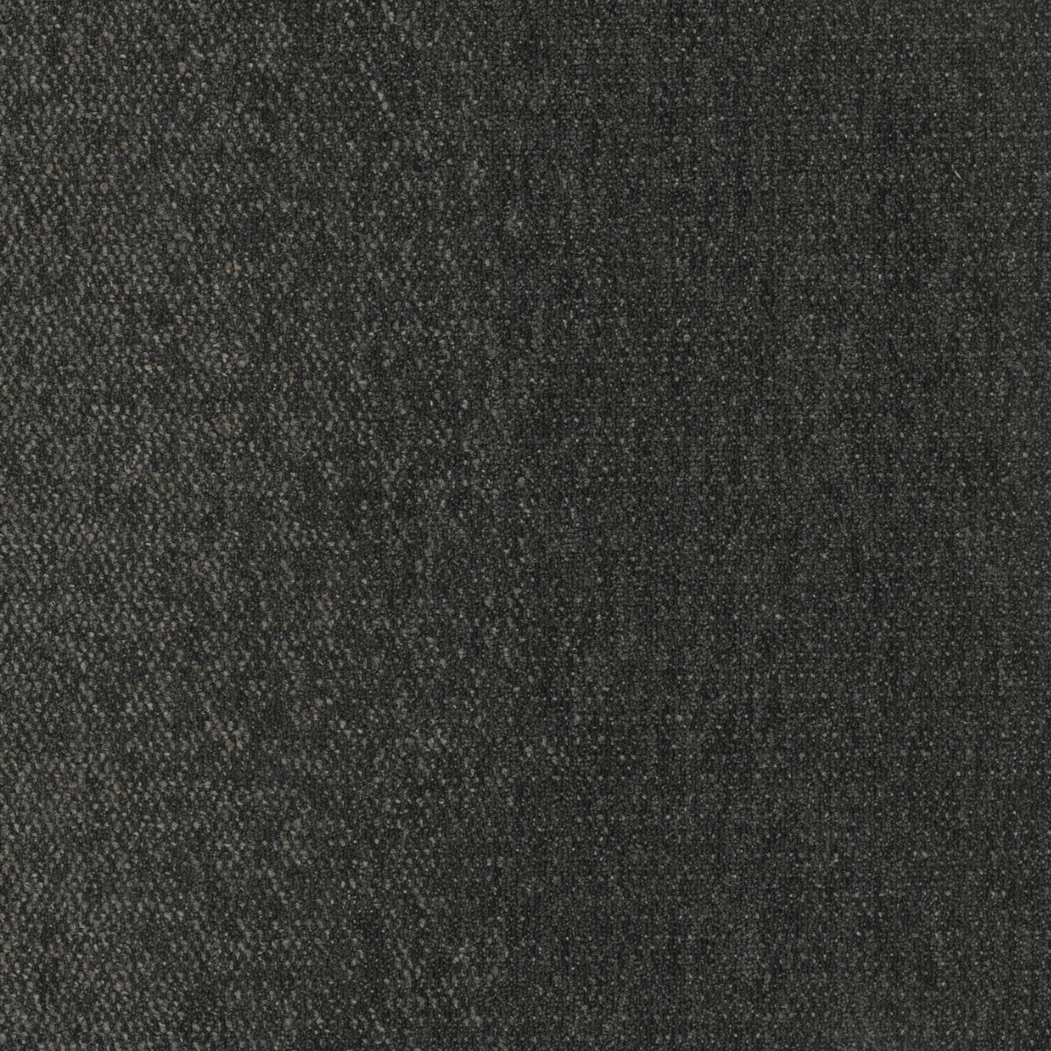 Pentz Carpet Hypnotic 7910T-3463 Mesmerizing 24" X 24"