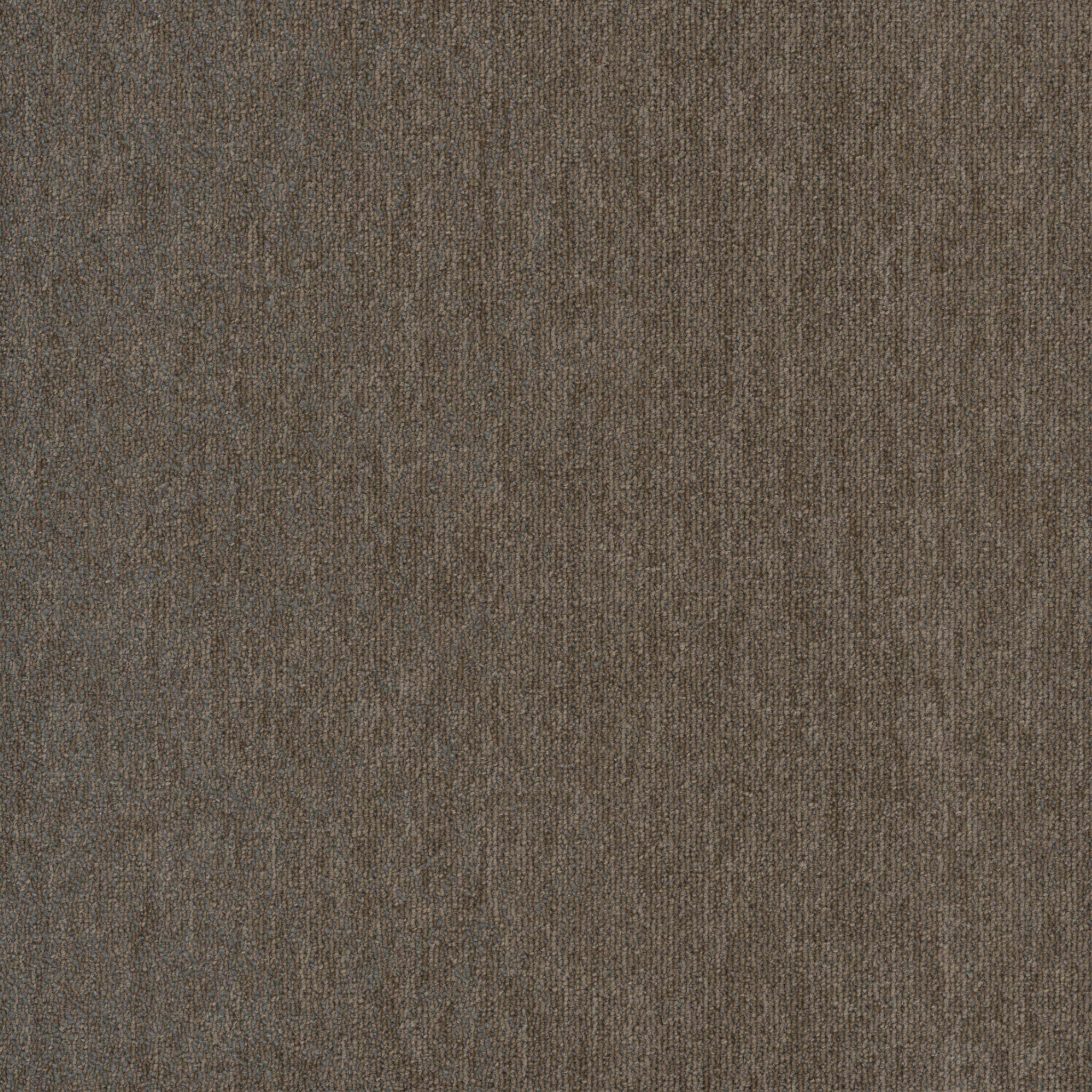 Pentz Carpet Hypnotic 7910T-3466 Numbing 24" X 24"