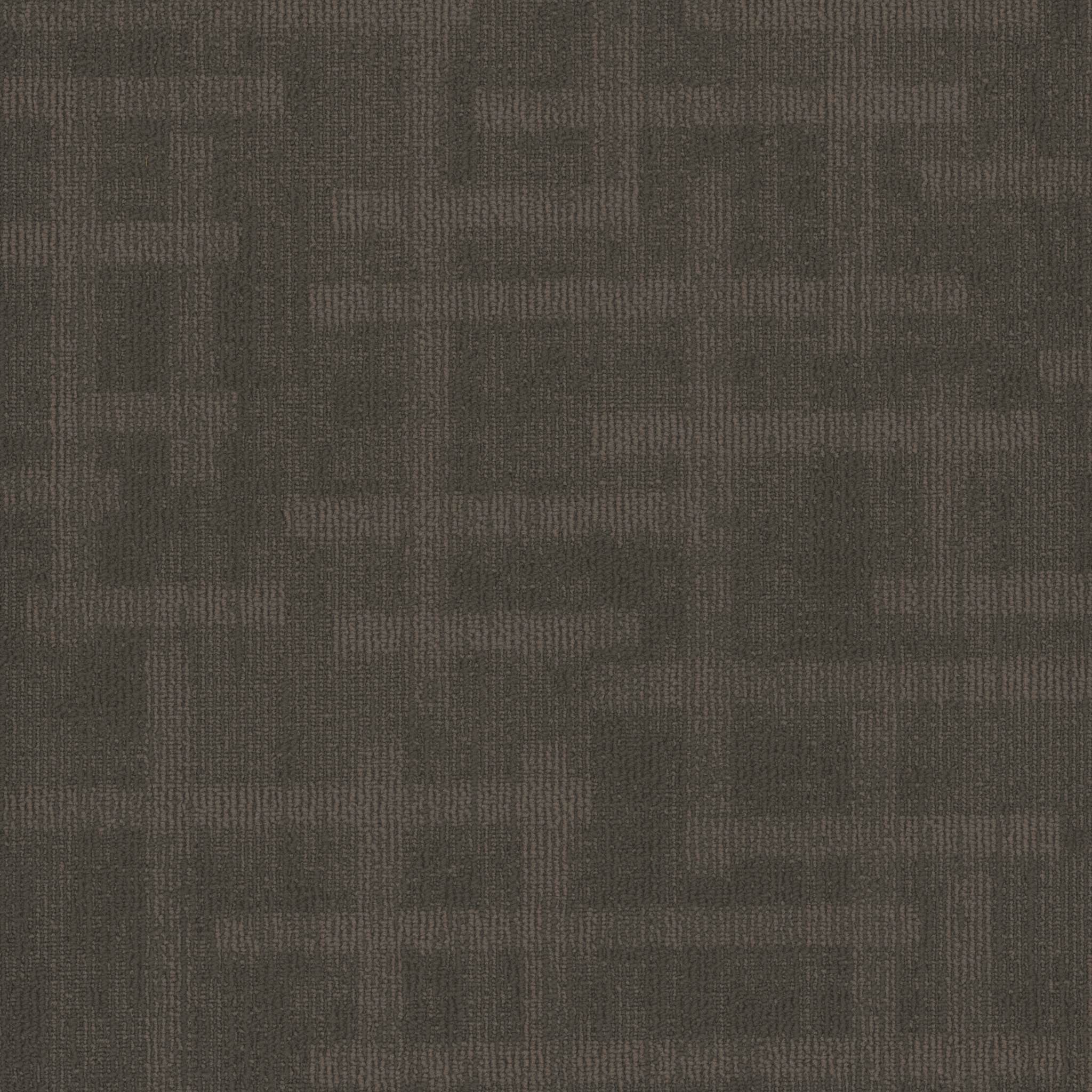 Pentz Carpet Veritas 7911T-3388 Certainty 24" X 24"