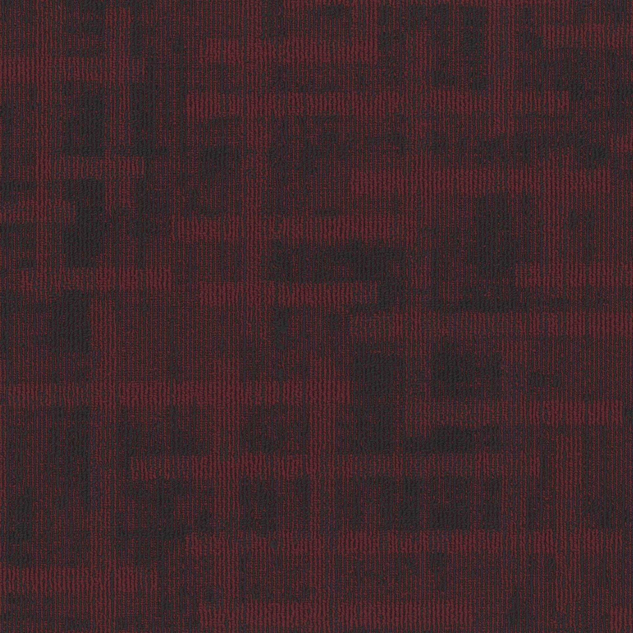 Pentz Carpet Veritas 7911T-3392 Fact of Life 24" X 24"