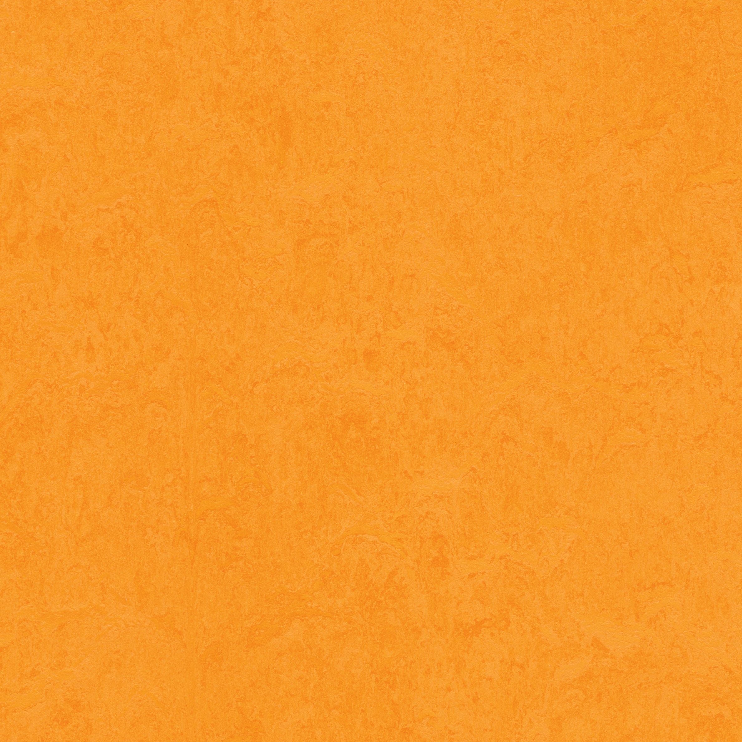 Forbo Marmoleum Click Cinch LOC Seal Waterproof Seal 933262 Marigold 12" x 36" Linoleum Tile Flooring