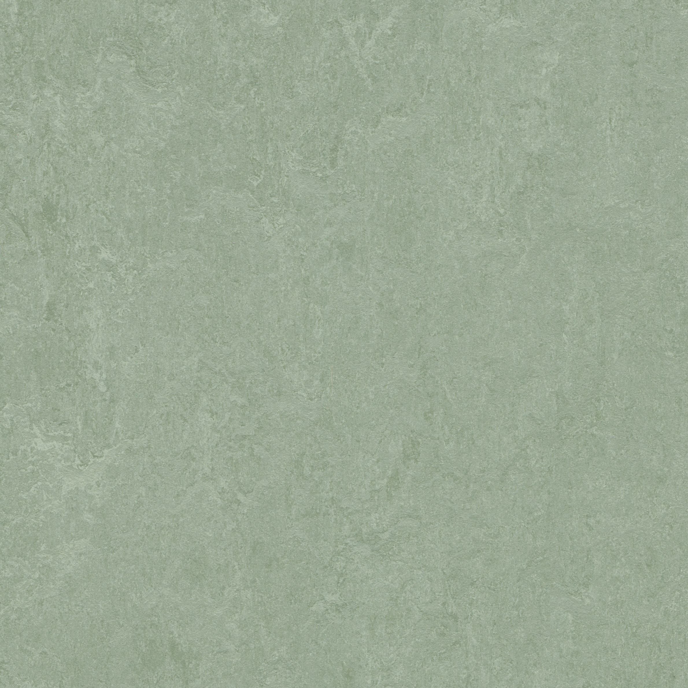 Forbo Marmoleum Click Cinch LOC Seal Waterproof Seal 333891 Sage 12" x 12" Linoleum Tile Flooring