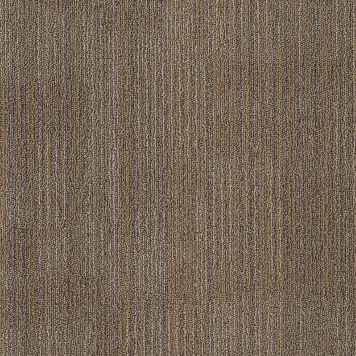 Philadelphia Mainstreet Ascension 54973-00208 Rework 18" x 36" Carpet Tile (63 SF/Box)