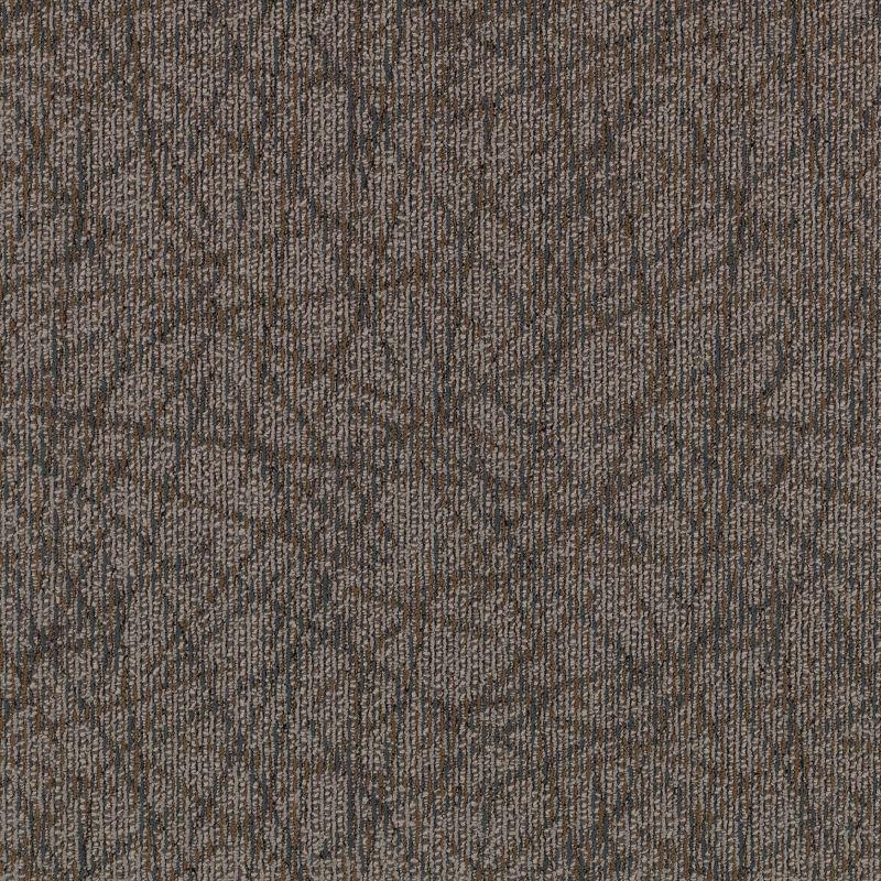 Aladdin Brilliantly Amazed Carpet Tile 2B60-521 So Intrigued 24" x 24"