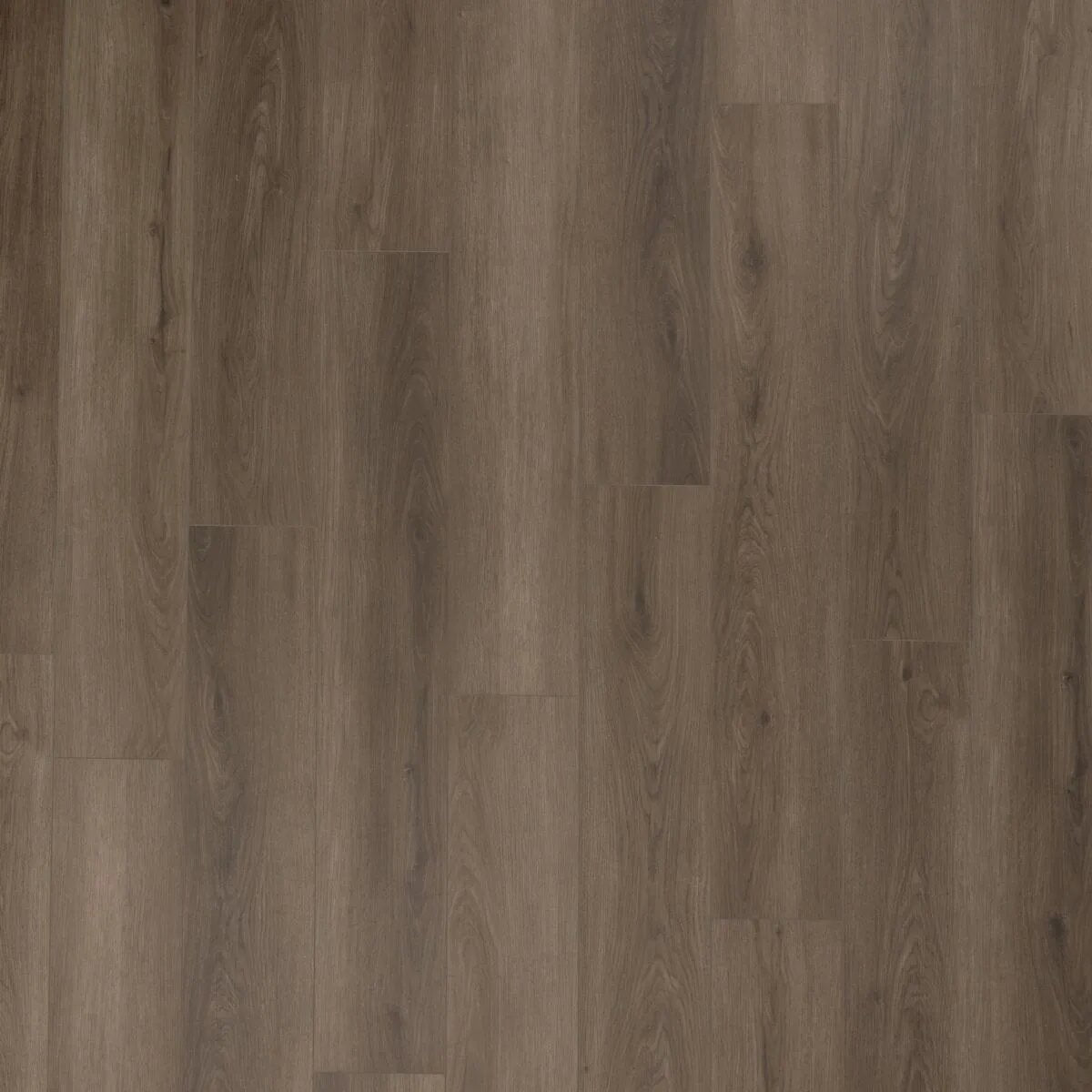 Aladdin Bentwood 2.0 AH133-879 9" x 60" Glue Down LVT