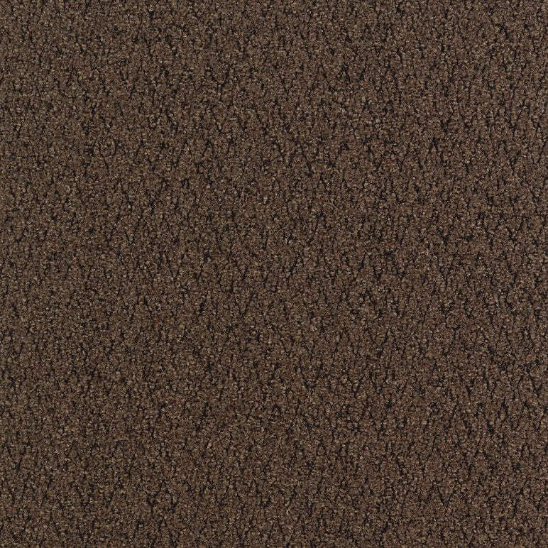Aladdin Walk Right Up Carpet Tile QA69-859 Walnut 24" x 24"