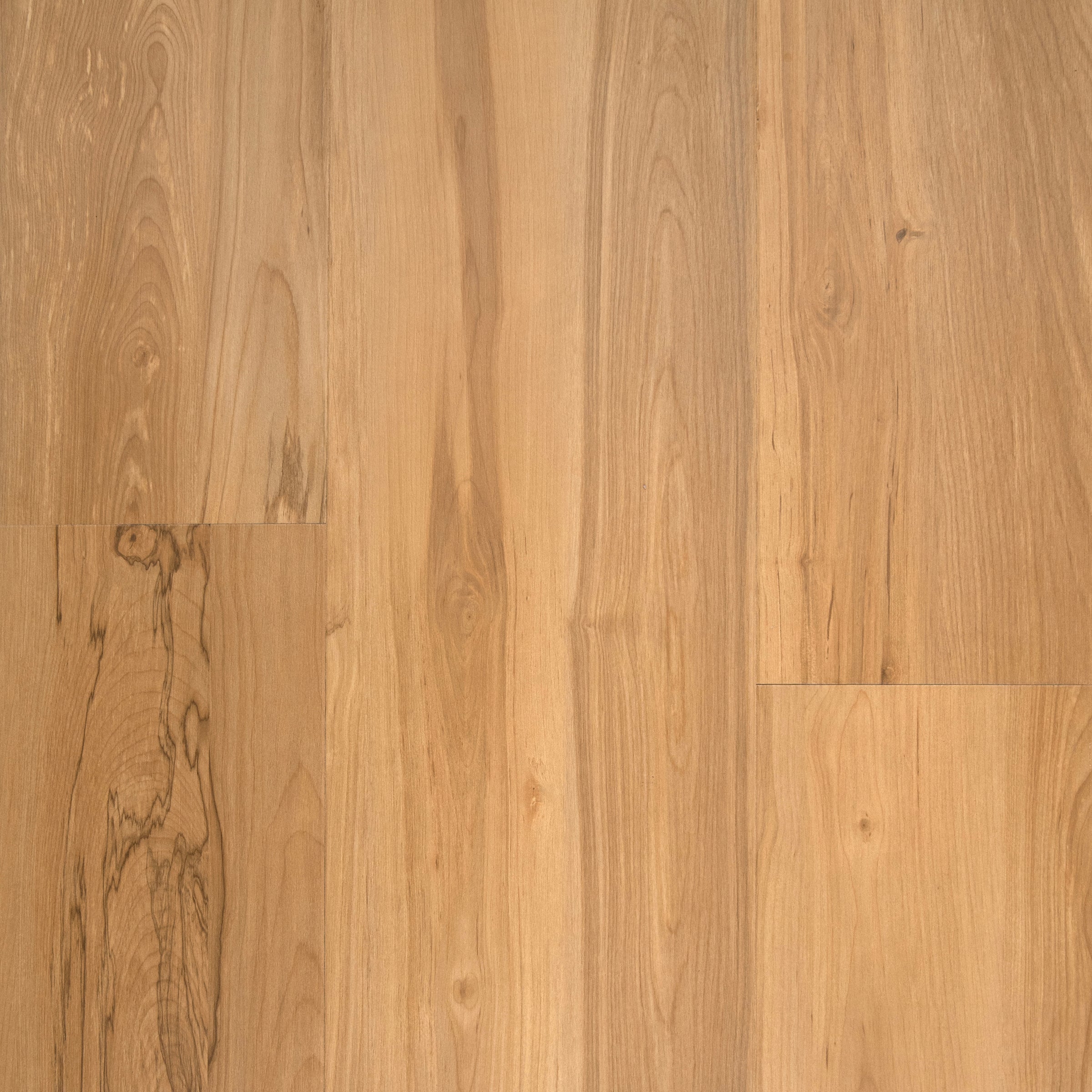 tsun♪　1001 Stanton Beach House Natural Laminate Flooring